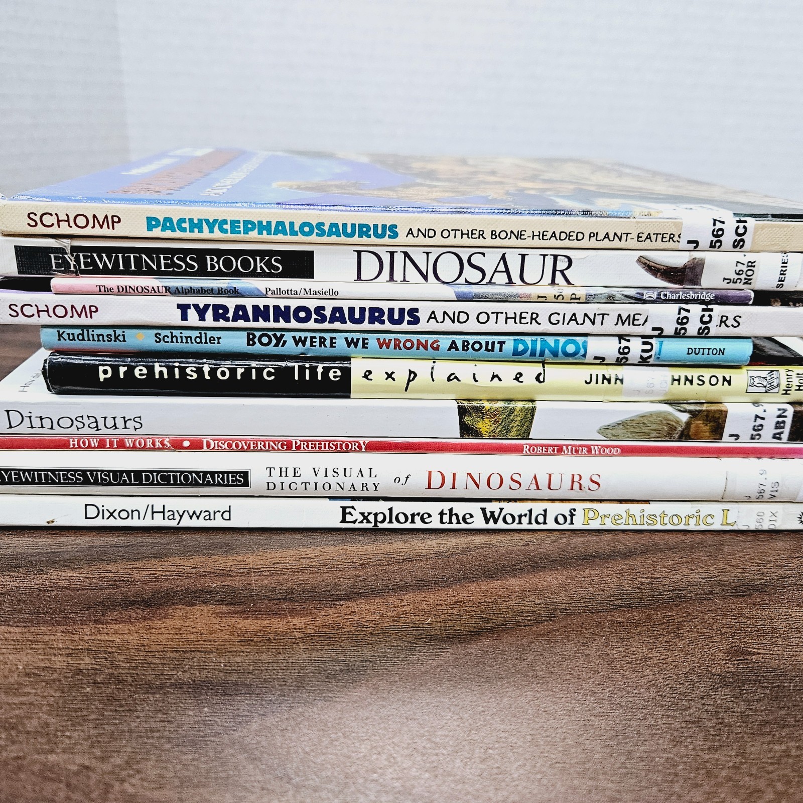 Kids Books About Dinosaurs Lot of 10 Homeschool Classroom Library Eyewitness