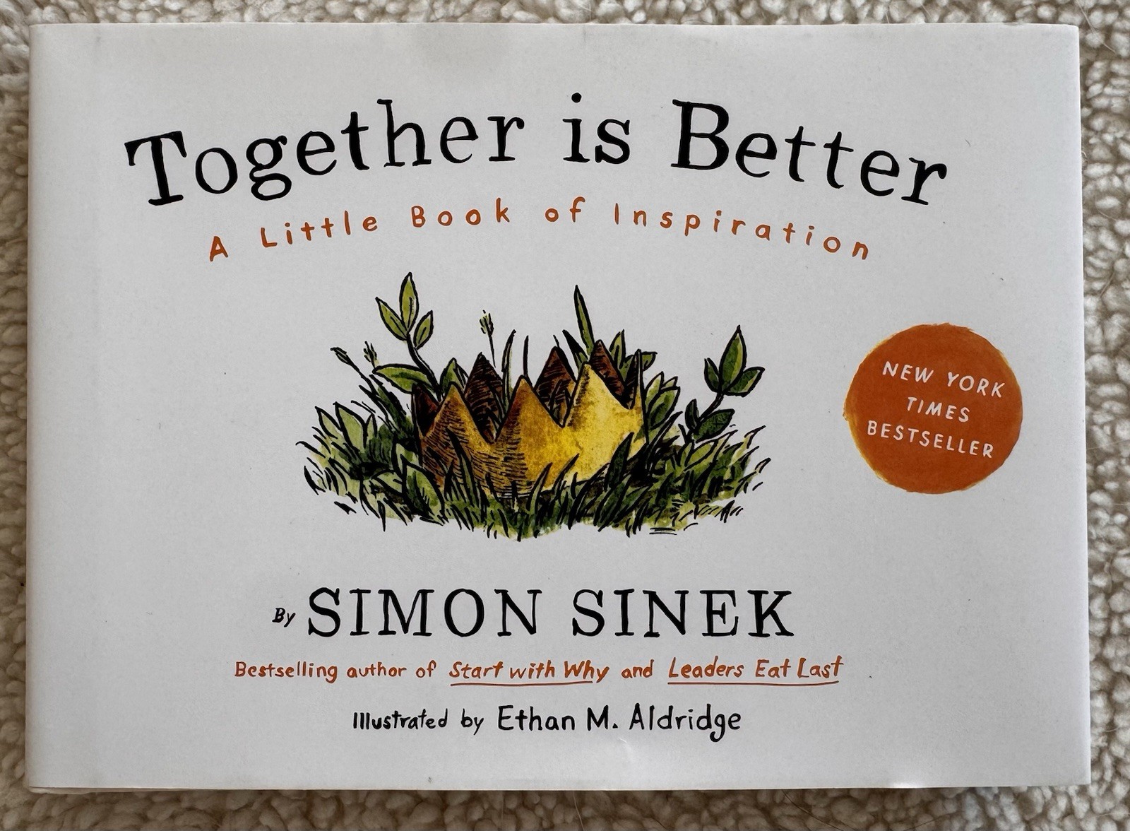 Together Is Better : A Little Book of Inspiration by Simon Sinek