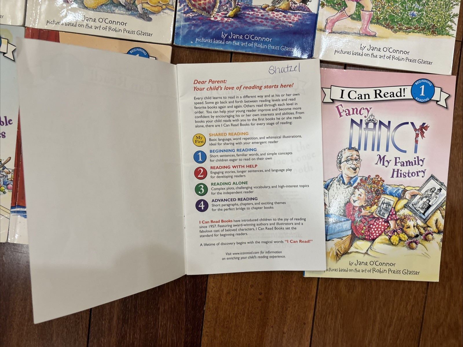 Fancy Nancy I Can Read Level 1 Readers Kindergarten 1st Grade- 13 Book Lot