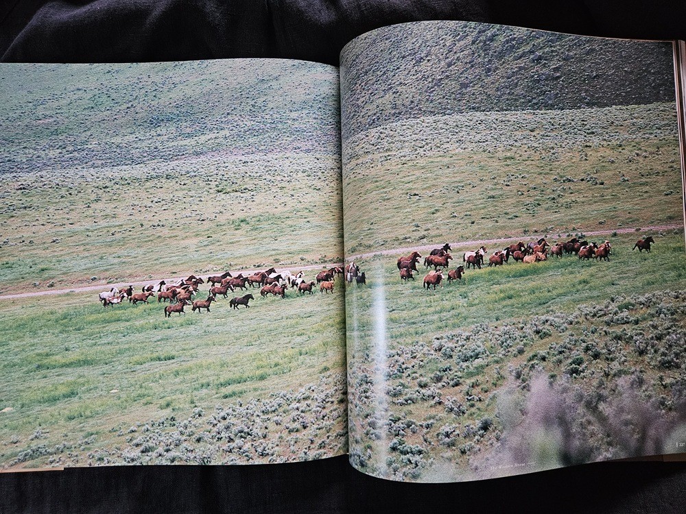 The Western Horse A Photographic Anthology Hardback Book