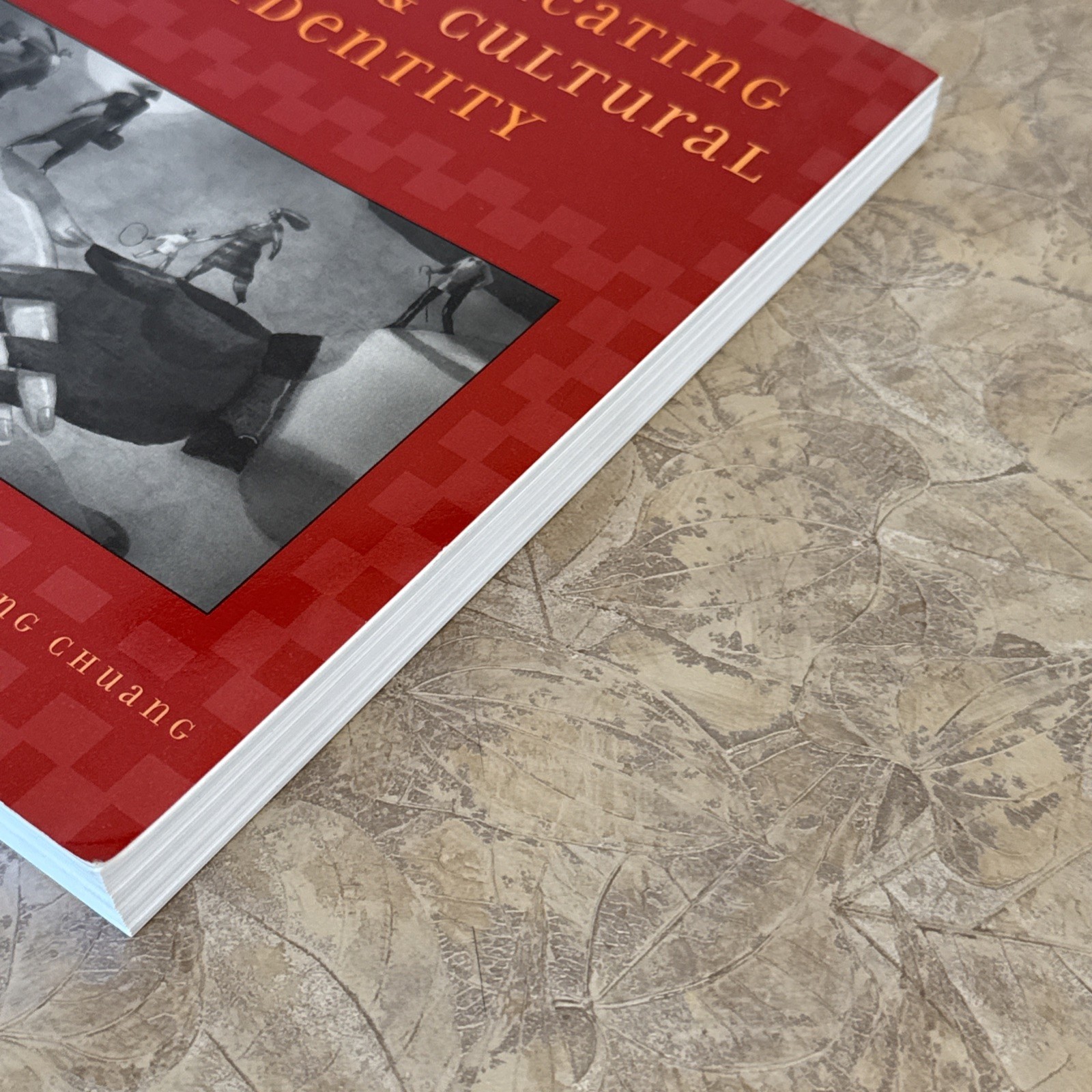 Communicating Ethnic and Cultural Identity by Mary Fong, Chuang, Rueyling