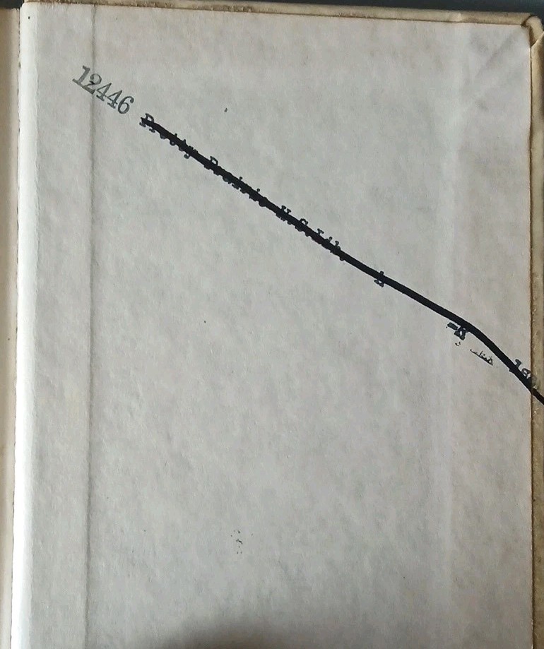 Michelson and the Speed of Light Biography by Bernard Jaffee 1960 Library HC