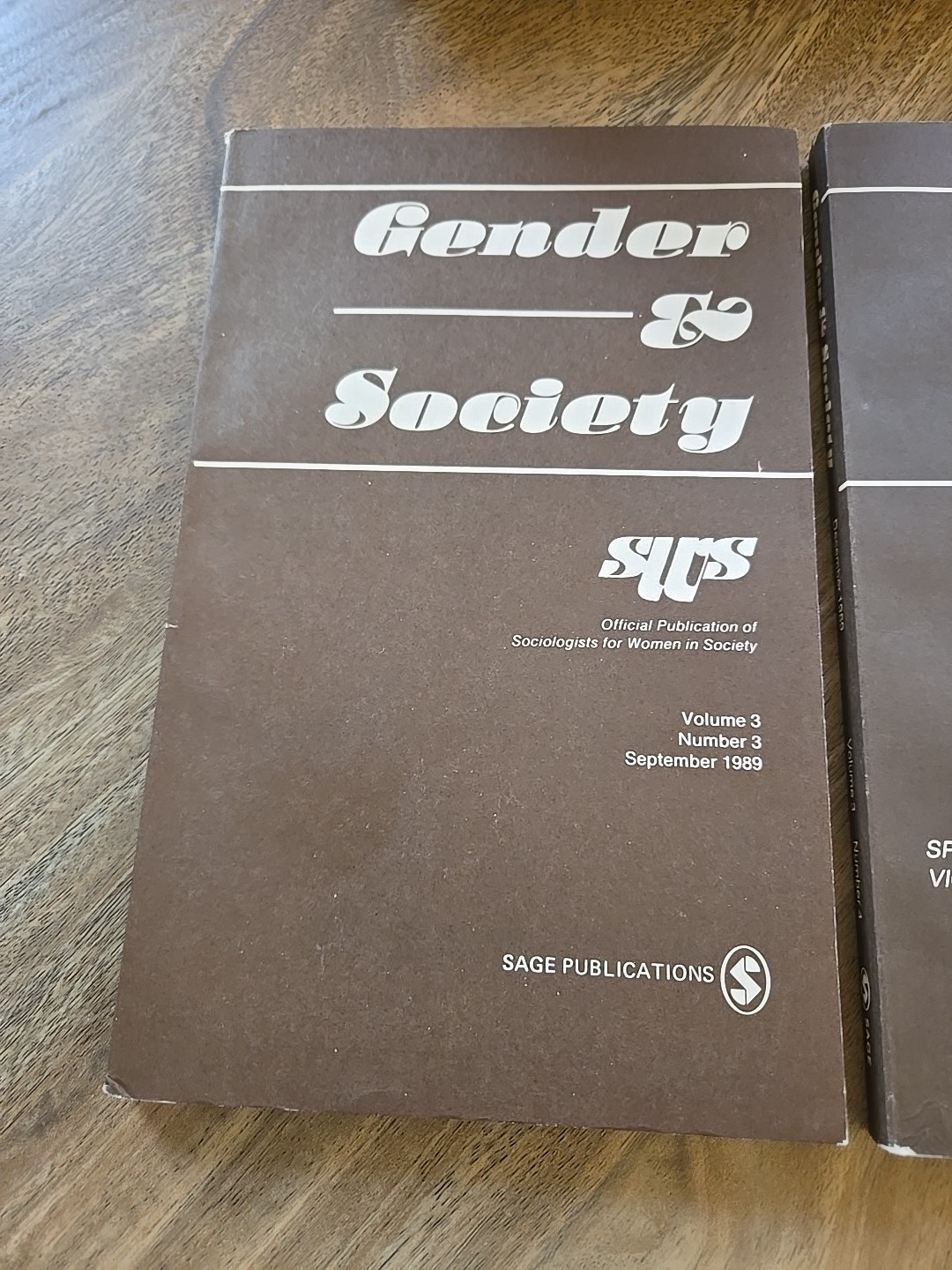 Gender & Society 1989 Volume 3 Number 1 & 2 (Sept & Dec) Paperback Books