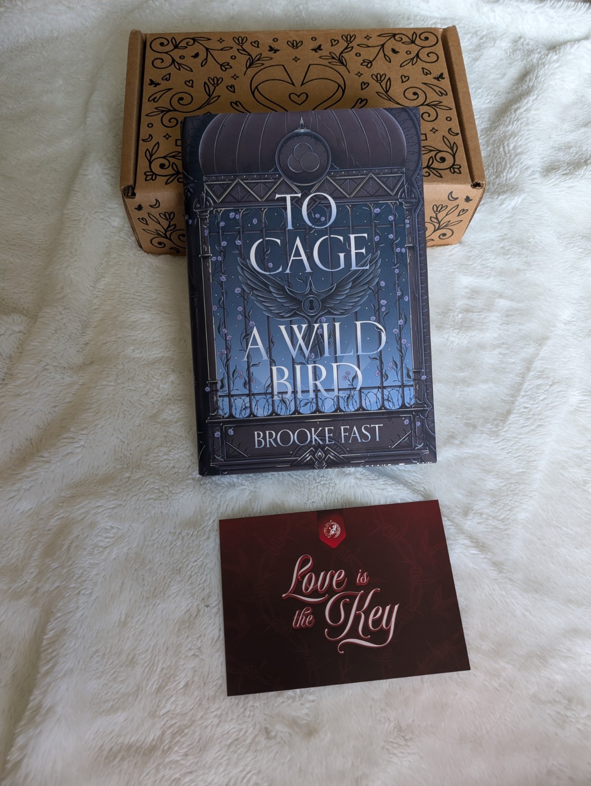 To Cage a Wild Bird by Brooke Fast – Fairyloot Special Edition