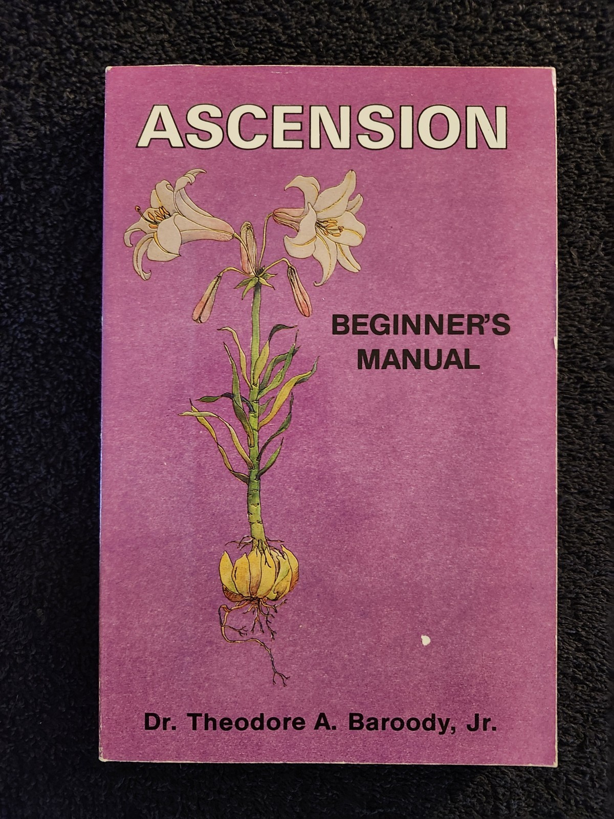 ASCENSION Beginner’s Manual By Theodore Baroody 1989 1st Ed New Age Spiritual PB