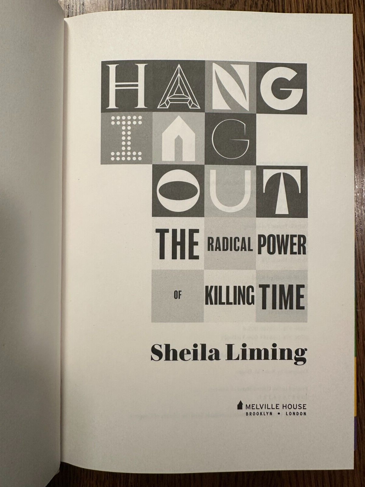Hanging Out by Sheila Liming (2023, HC) SOCIOLOGY SOCIAL SCIENCE LIKE NEW