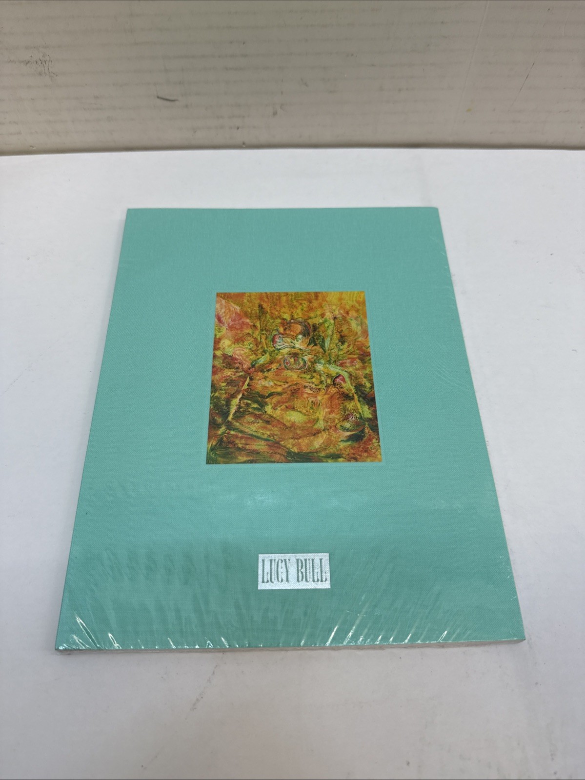 Lucy Bull: Selected Works 2019–2022 Book Gallery