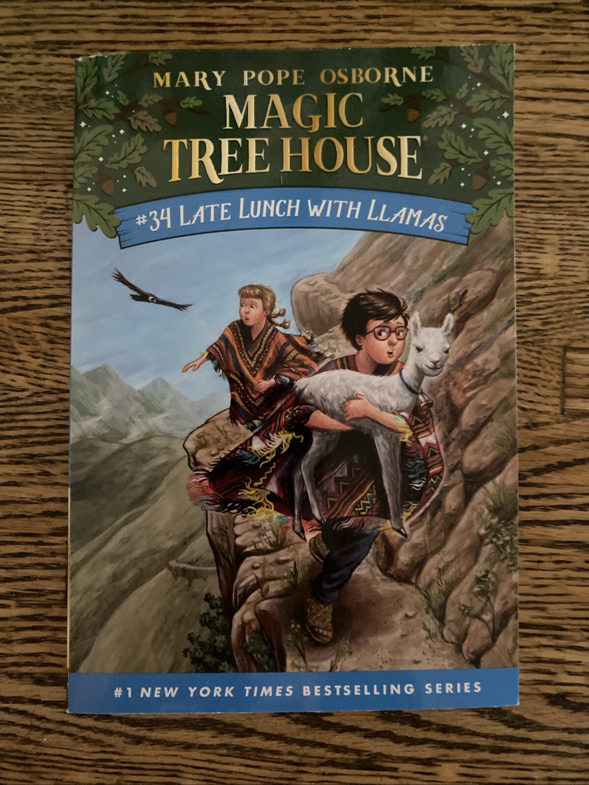 Late Lunch with Llamas by Mary Pope Osborne (2022, Digest Paperback)