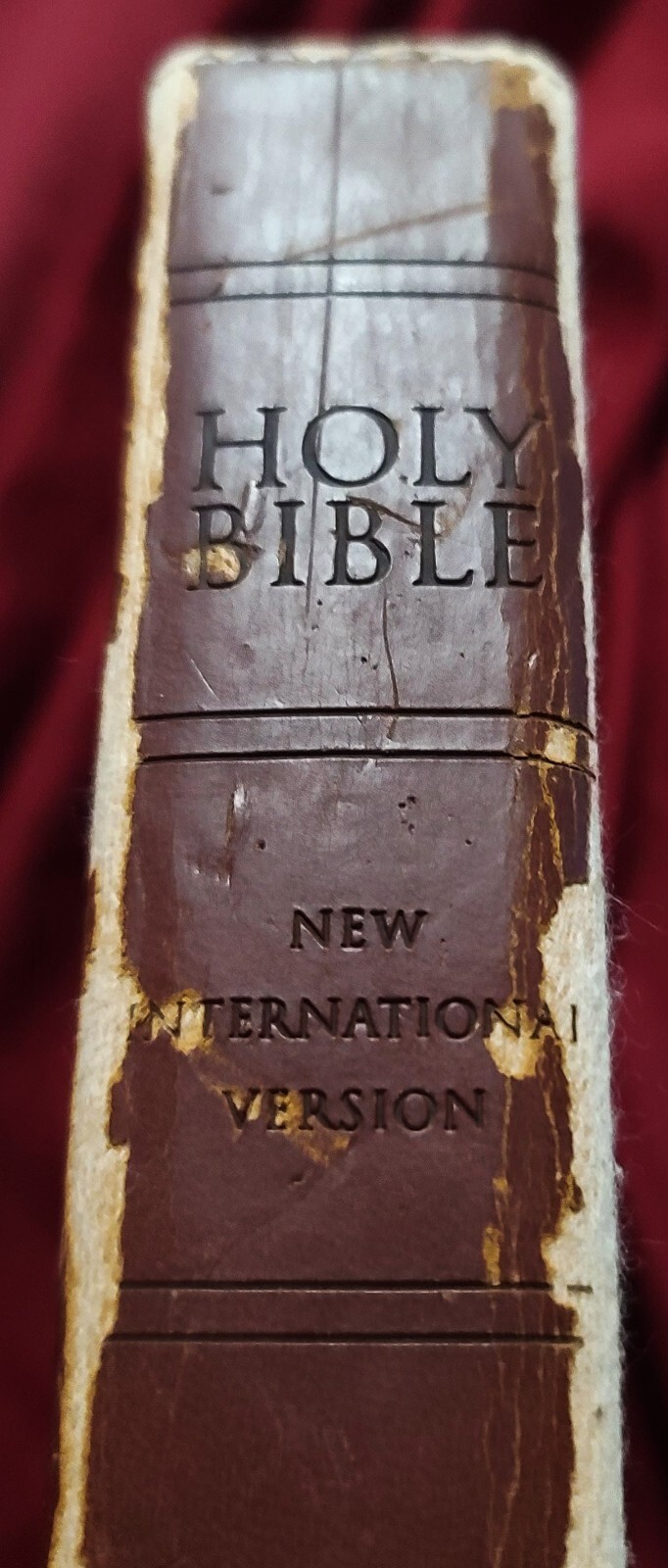 Zondervan New International Version NIV LeatherSoft Holy Bible