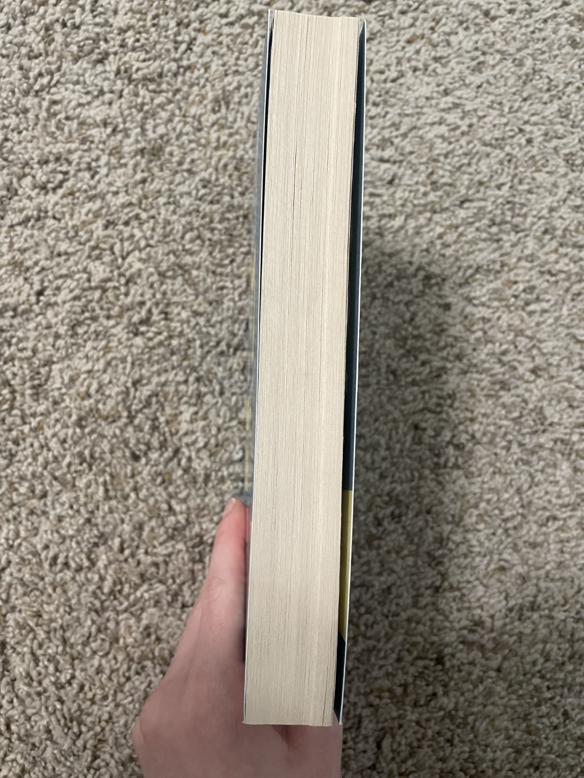 All the Bright Places by Jennifer Niven