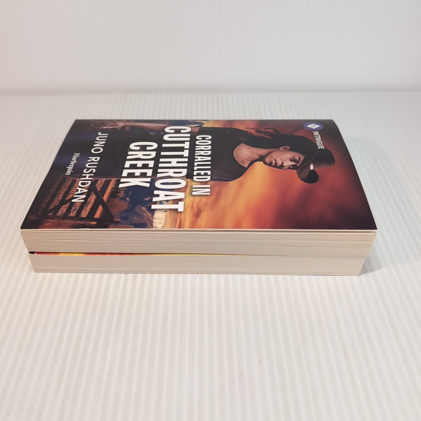Lot of 2 Juno Rushdan Contemporary Cowboy Romance Harlequin Paperback Book