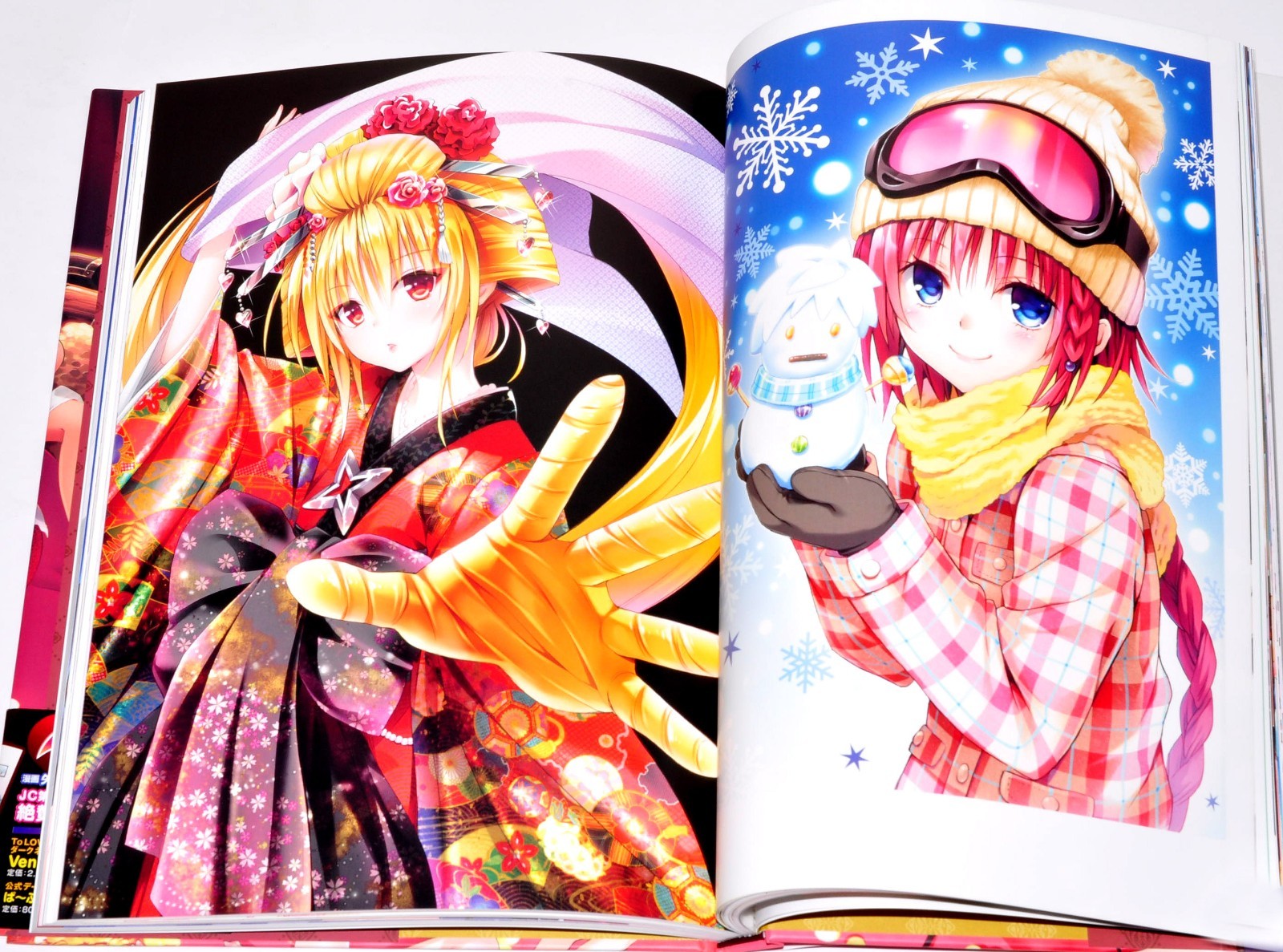 To Love-Ru Darkness Harem Gold Art Book Illustrations + Case 10th anniversary JP
