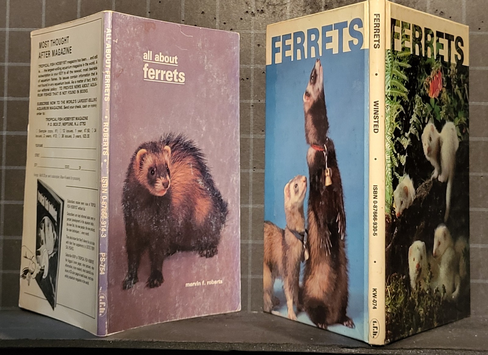2 Books All About Ferrets Hardcover and Paperback 920
