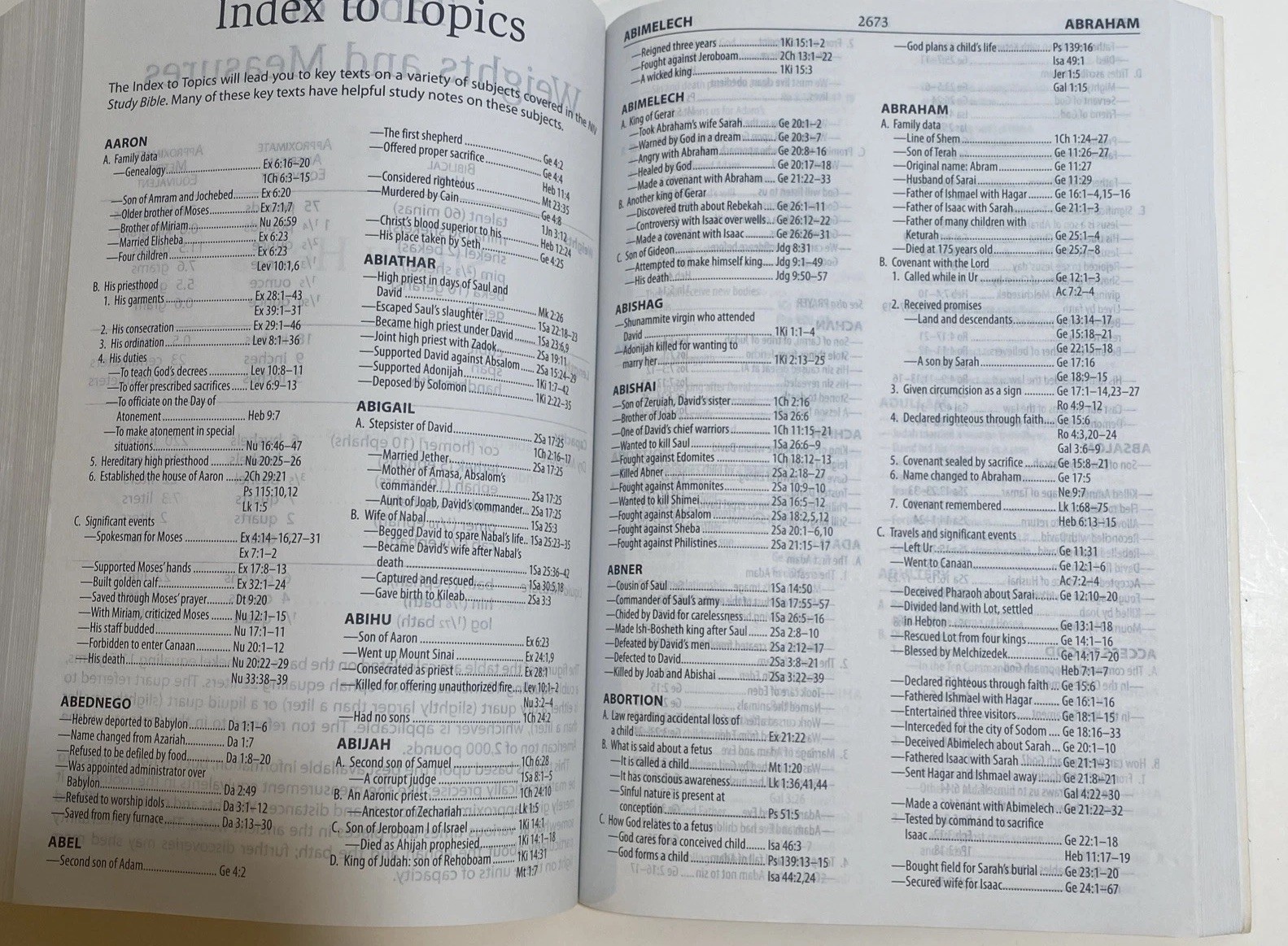 NIV Study Bible 2008 Zondervan Paperback New Testament Red Letter