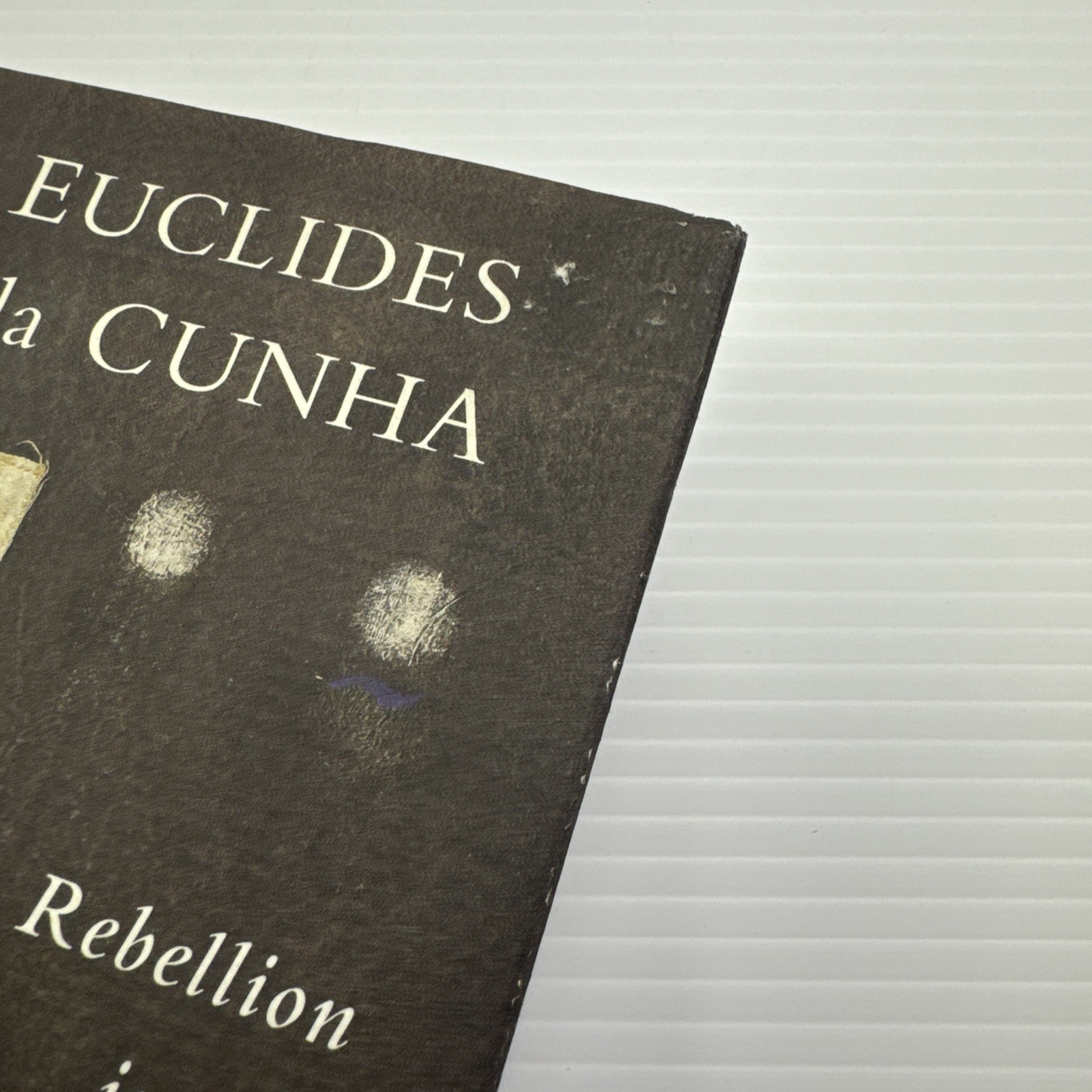 Rebellion in the Backlands Euclides Da Cunha Hardcover 1995 Picador Book History