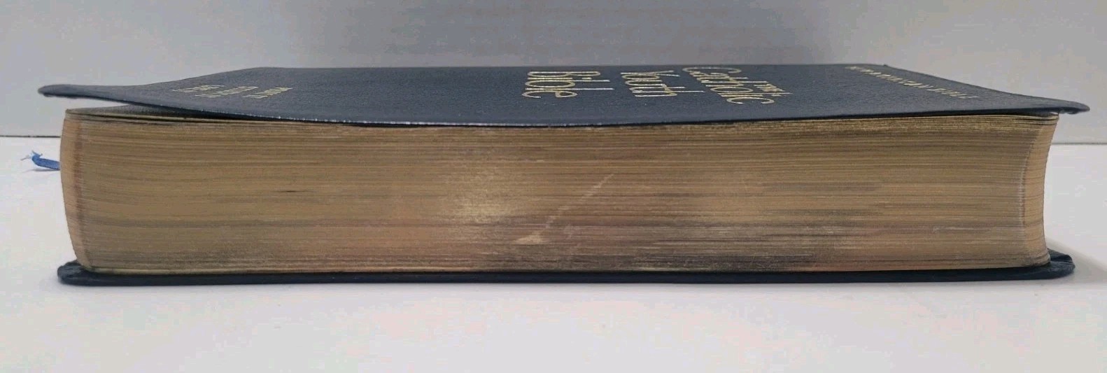 Catholic Youth Bible! In Great Shape