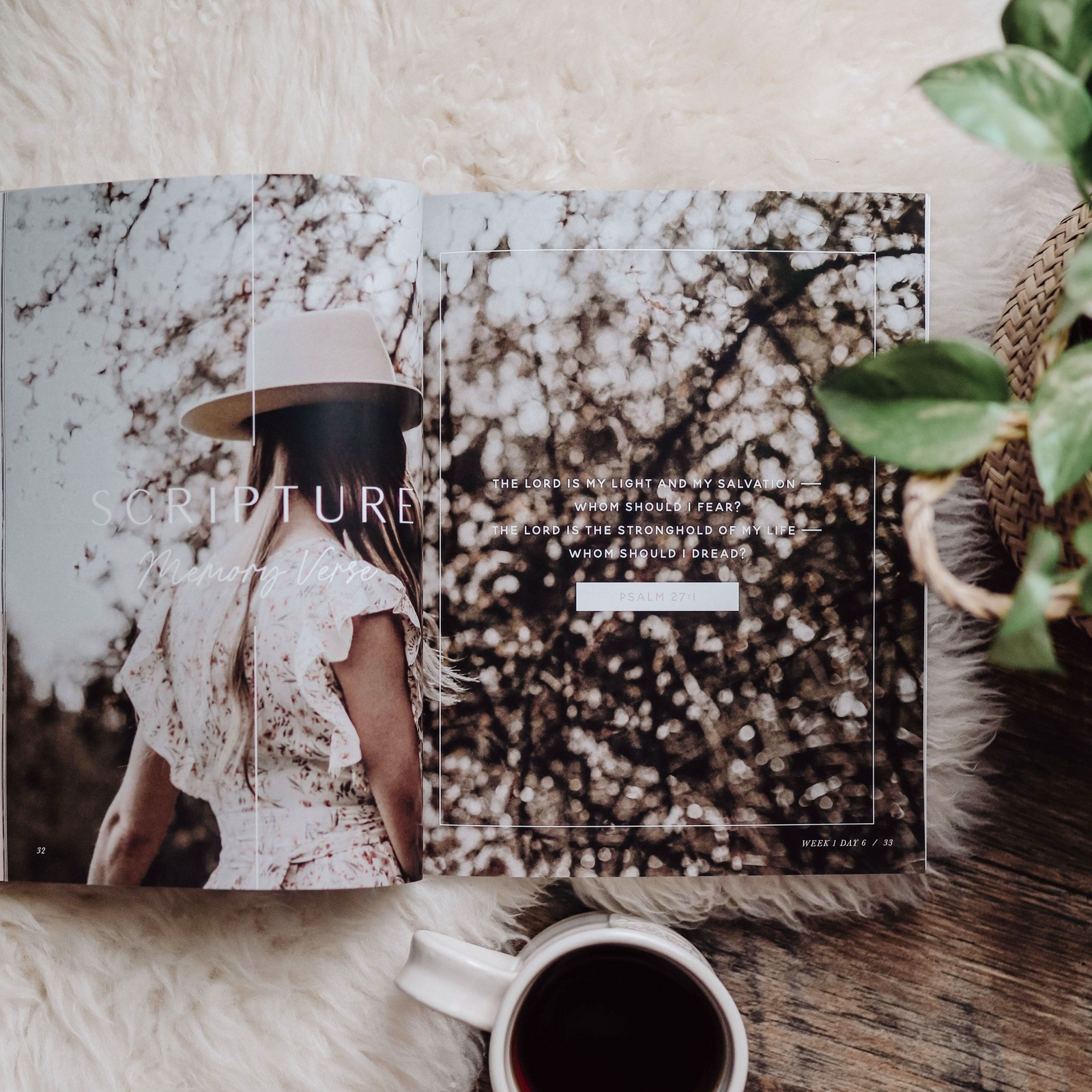 The Daily Grace Co When Fear Meets Faith Bible Study – Women