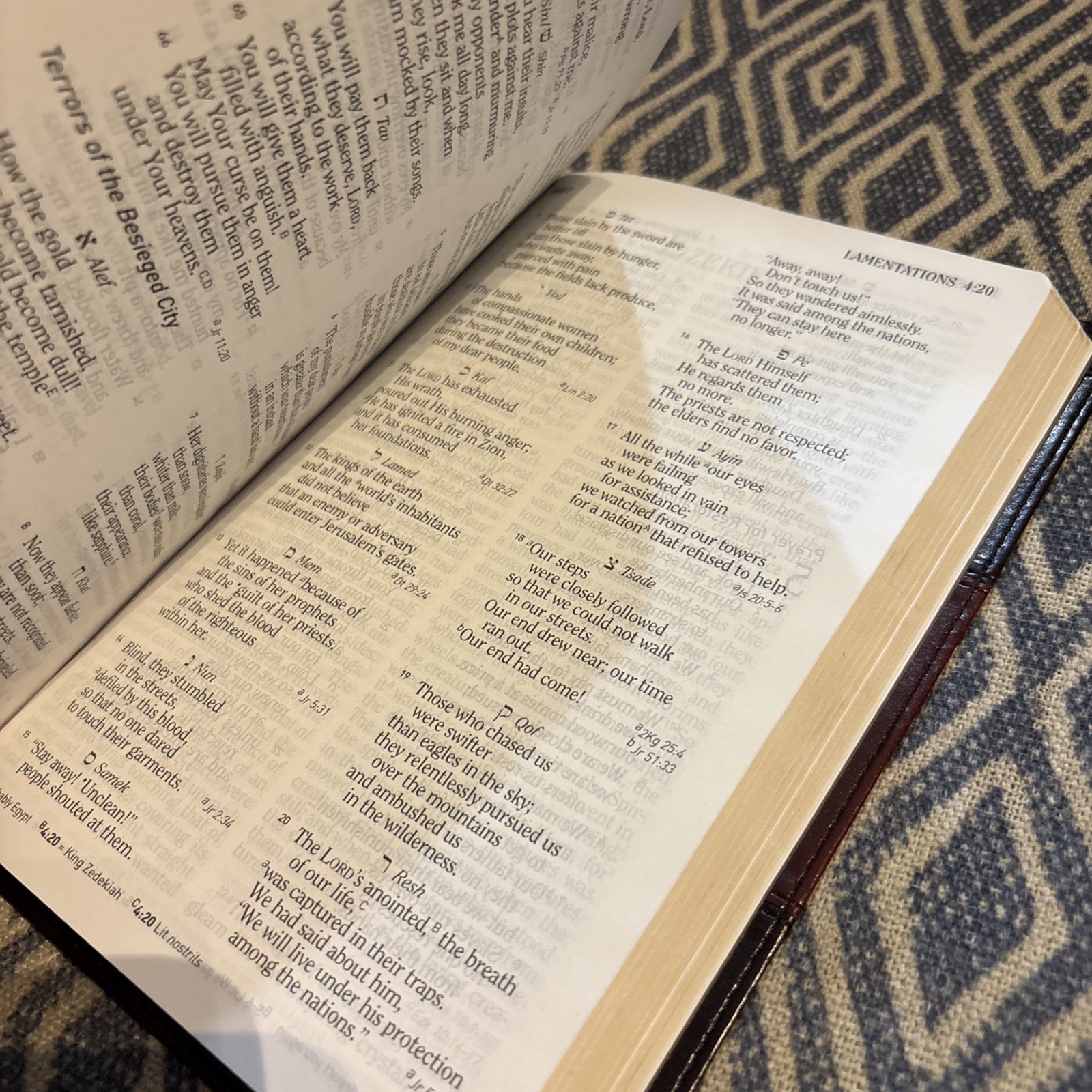 HCSB Ultrathin Reference Bible Dark Brown/Tan Simulated Leather book
