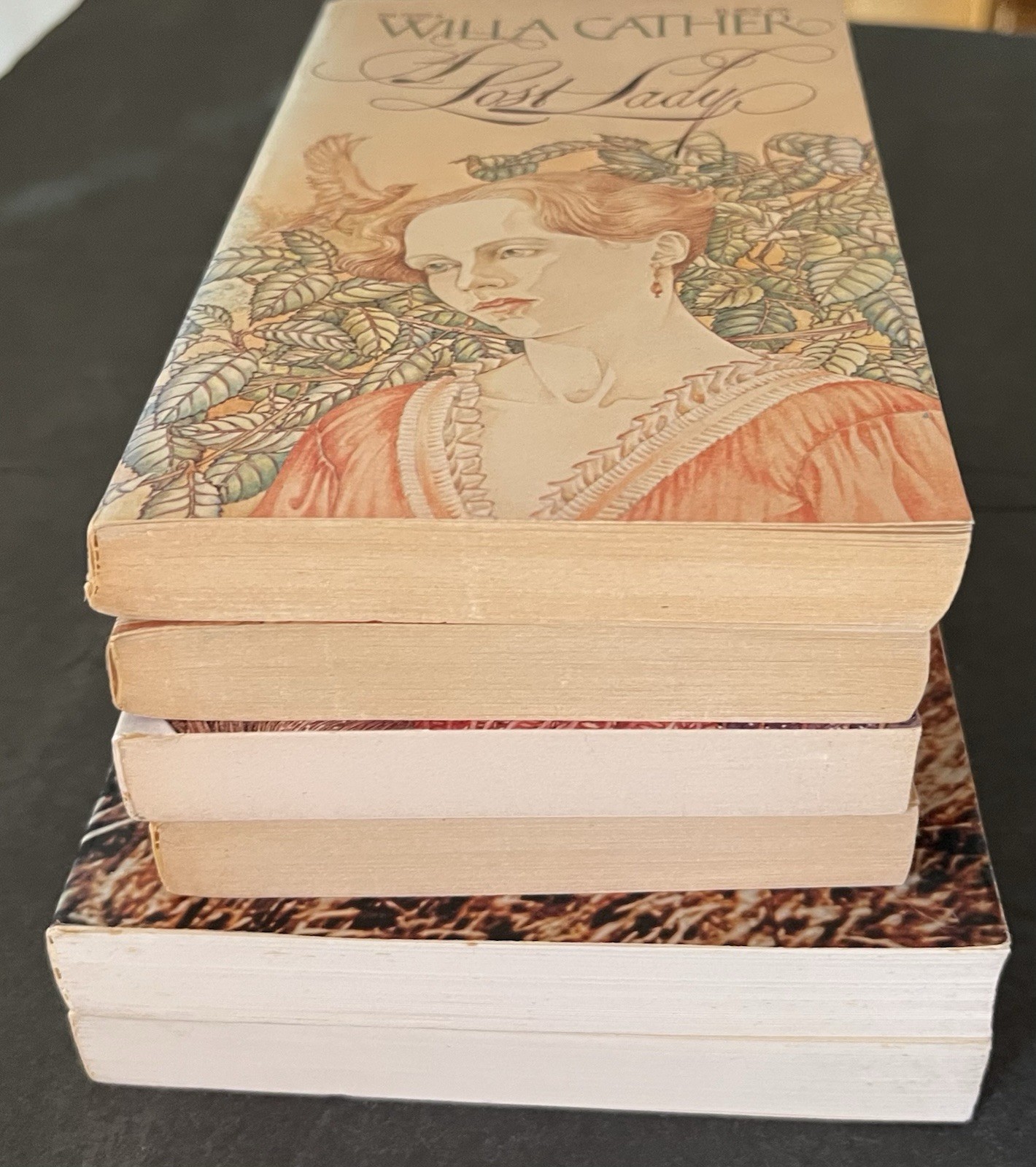 WILLA CATHER 6 Books Lot Song Of Lark Early Stories Death Comes Lucy Professor++