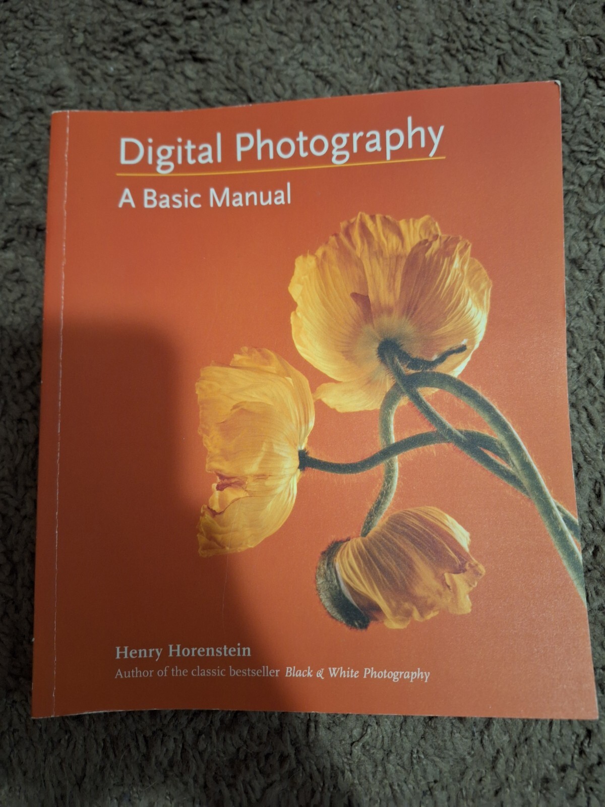 Digital Photography : A Basic Manual by Henry Horenstein (2011, Trade Paperback)