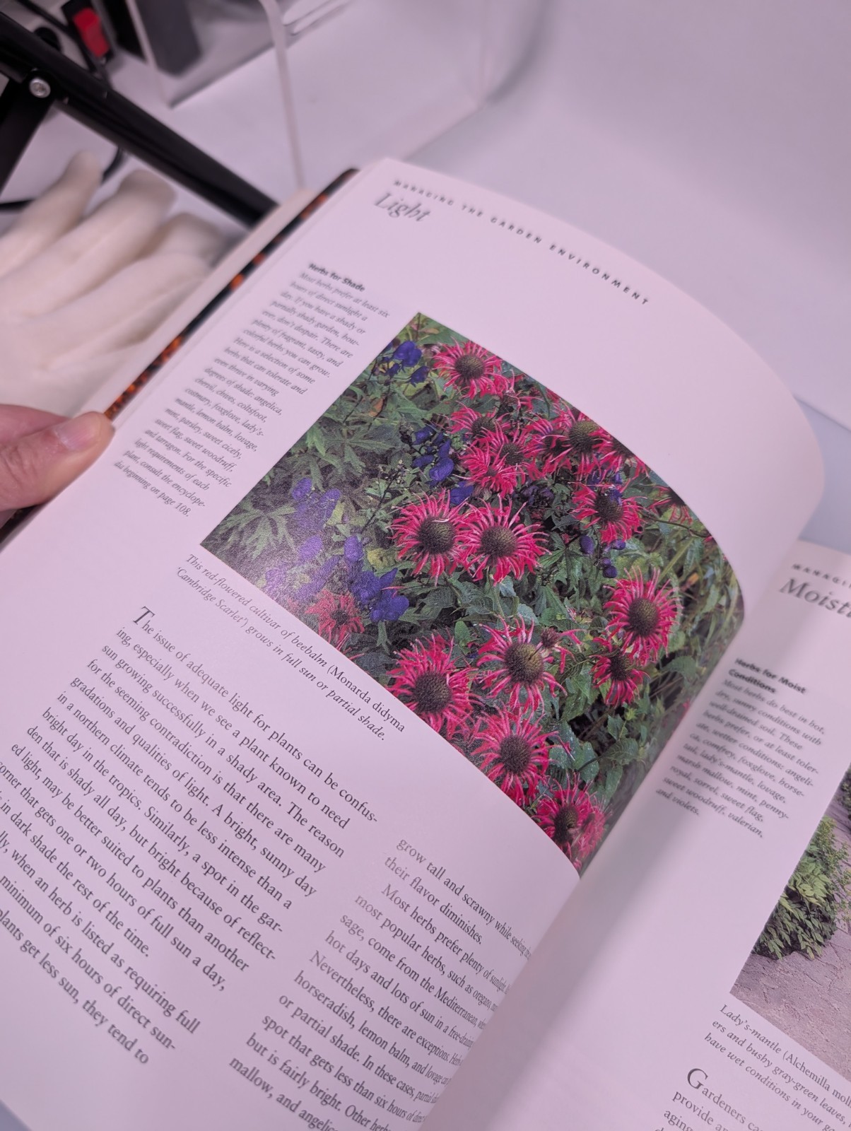 Better Homes and Gardens step by step HERBS Book 132 pages Illustrated