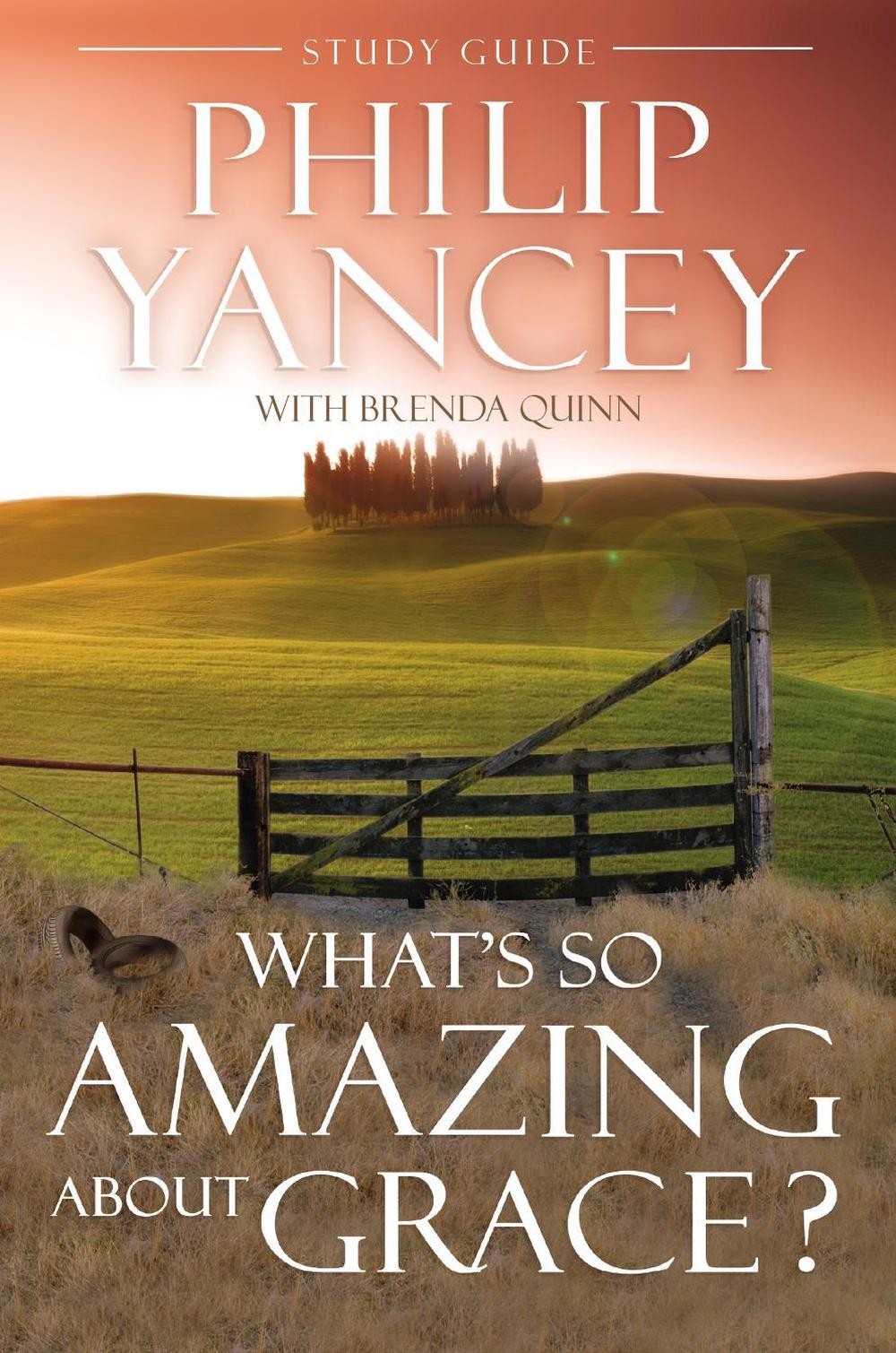 What’s So Amazing About Grace? Study Guide: The Key to Transforming a Broken Wor