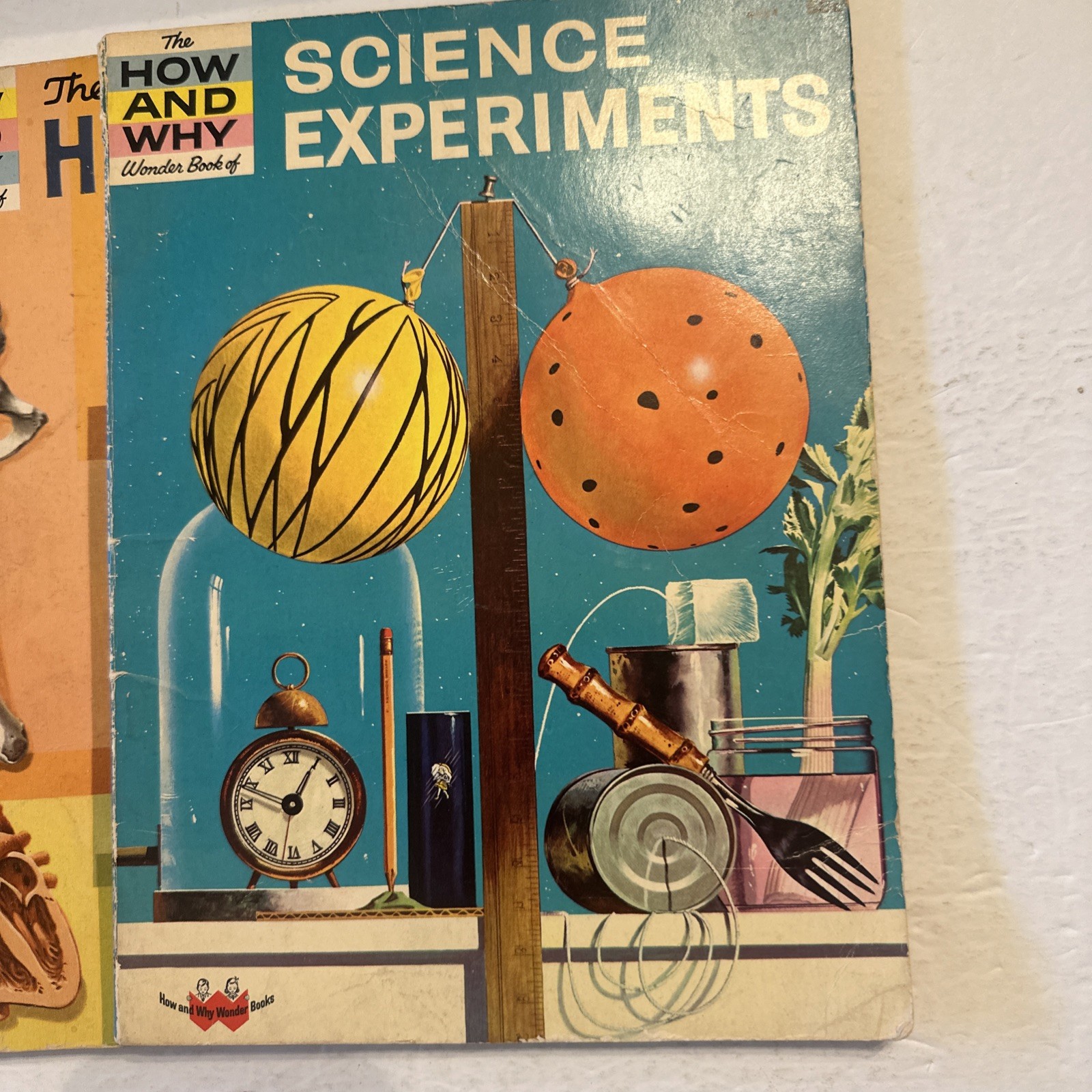 Lot Of 3 The How And Why Wonder Books Paperback Science Human Body Scientists