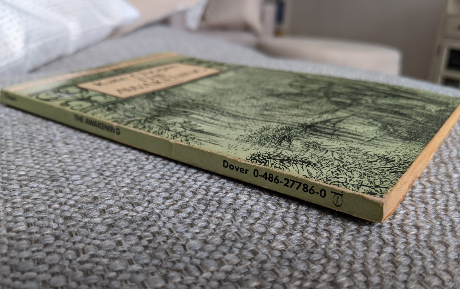 The Awakening – A Novel by Kate Chopin (1993 Paperback) Dover Thrift Edition