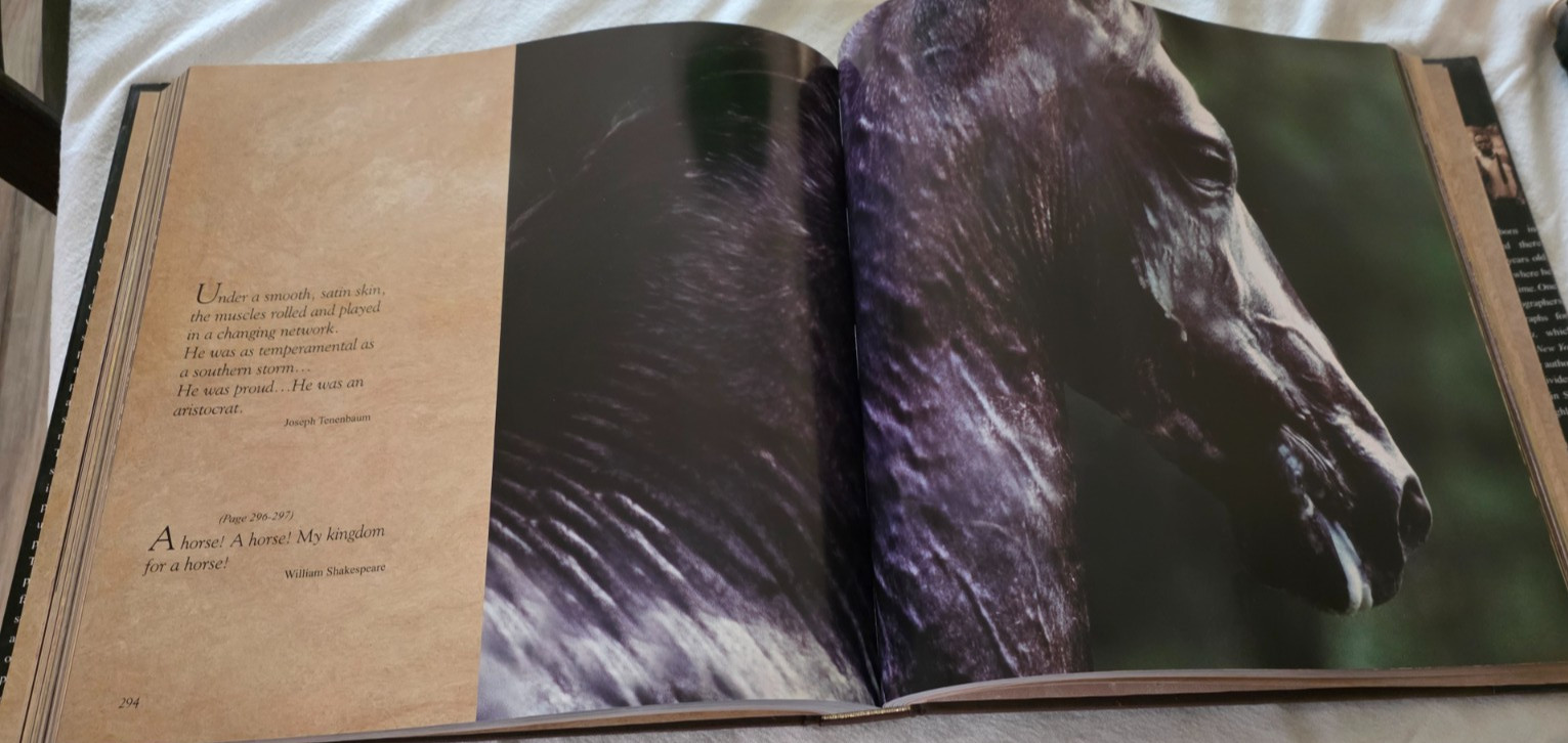 Vavra’s Vision: Equine Images by Robert Vavra – Pre-Owned Excellent Condition