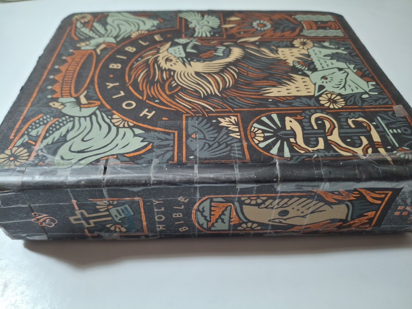 ESV Single Column Journaling Bible, Artist Series, Hardcover, Joshua Noom