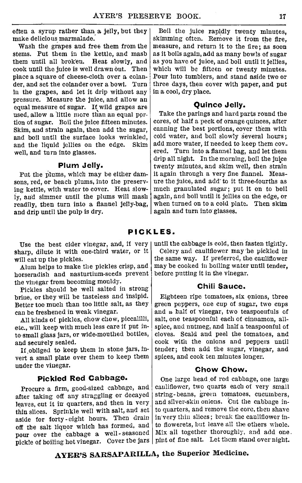 1893 Ayer’s Preserve Book Jelly Making 35 Pages