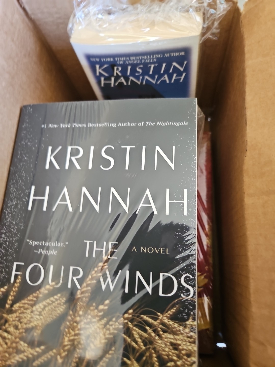 Lot 6~Kristin Hannah~Women~Nightingale~Four Winds~Winter Garden~Night Road~Mixed