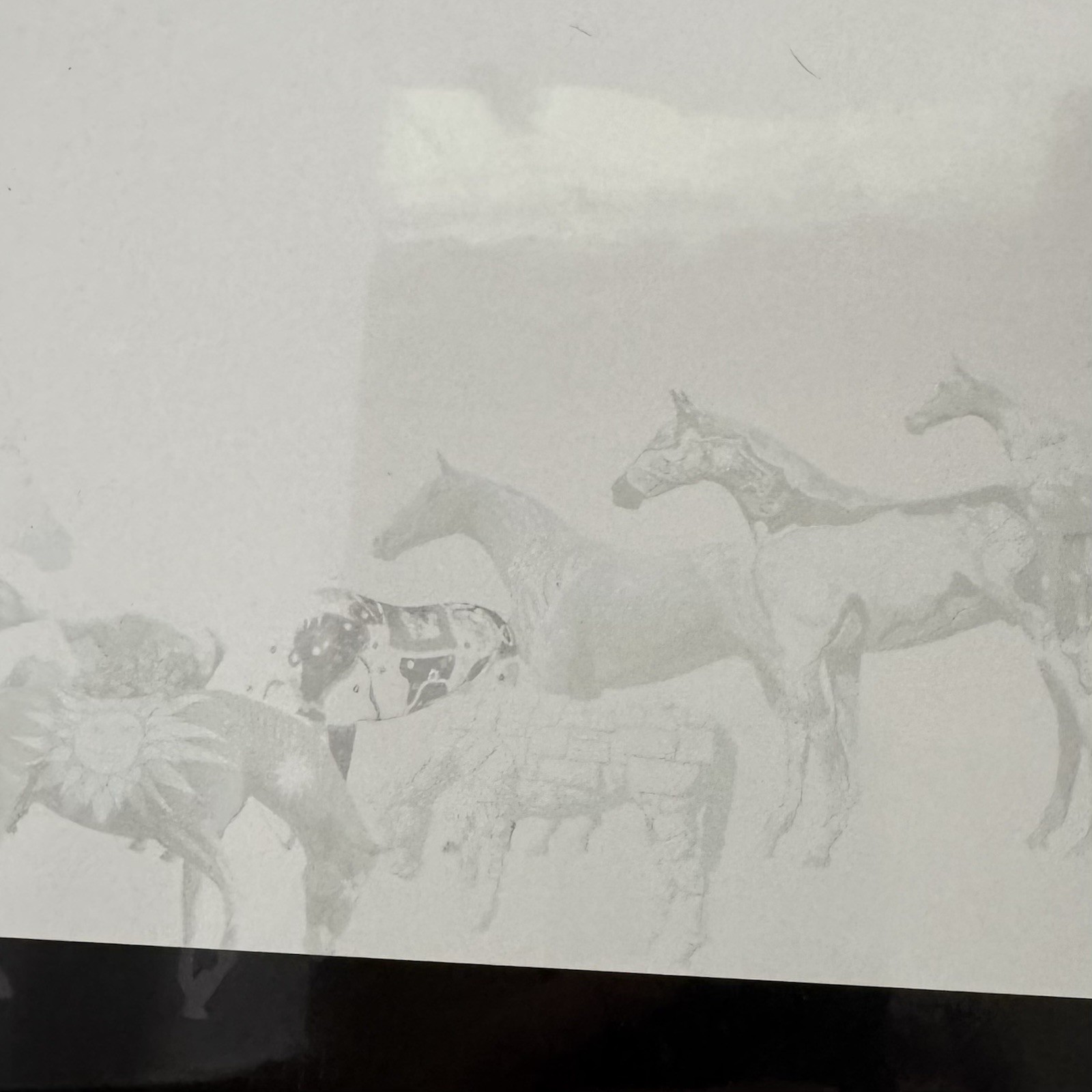Horse Fever Hardback Book Marion Cultural Alliance Inc New Sealed
