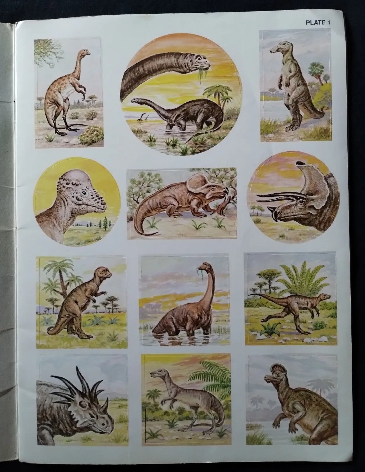 Vintage 1986 48 Full Color Dinosaur Stickers & Seals Kalmenoff Complete FASTSHIP