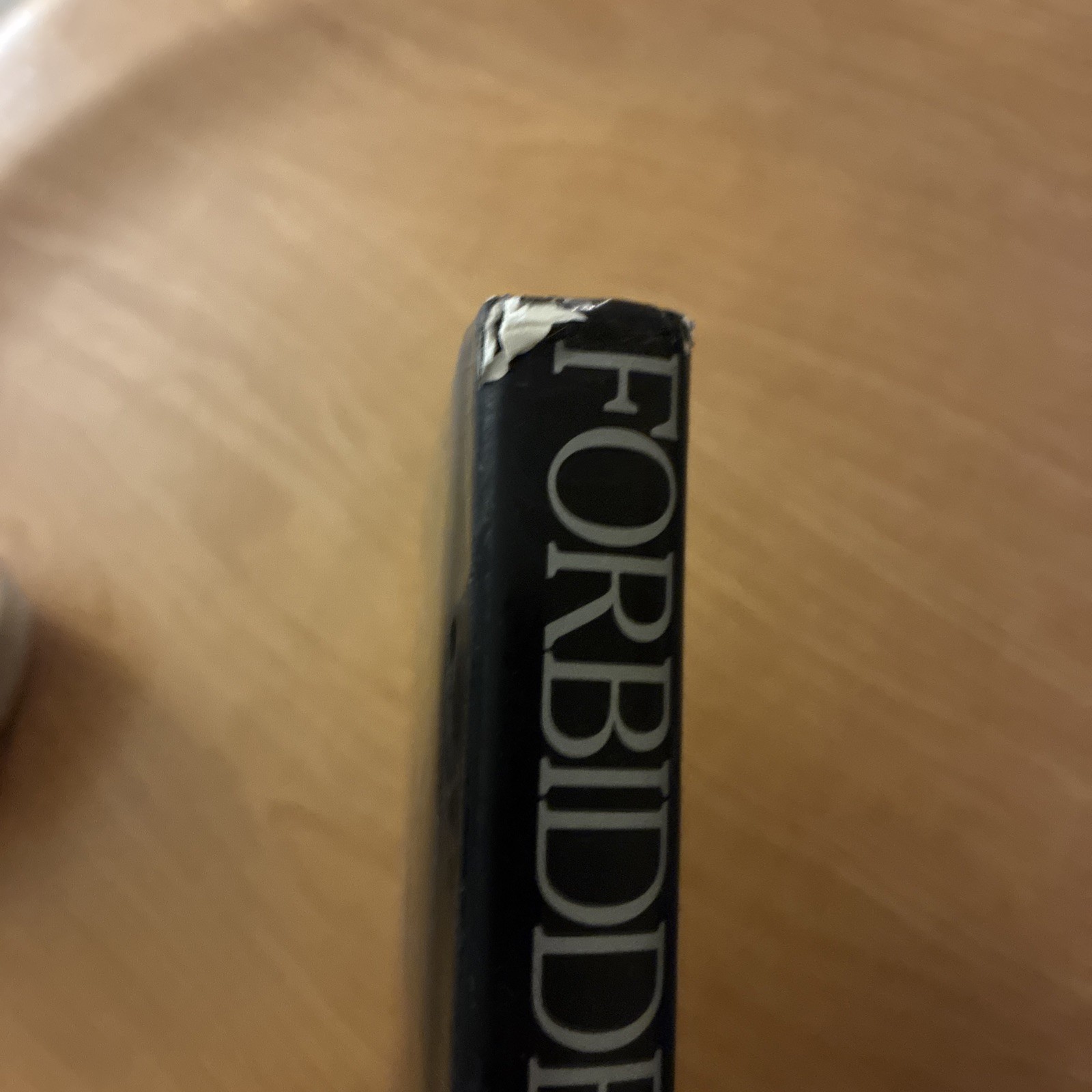 Rebecca Blake: Forbidden Dreams by Lina Wertmuller (1984, Hardcover)