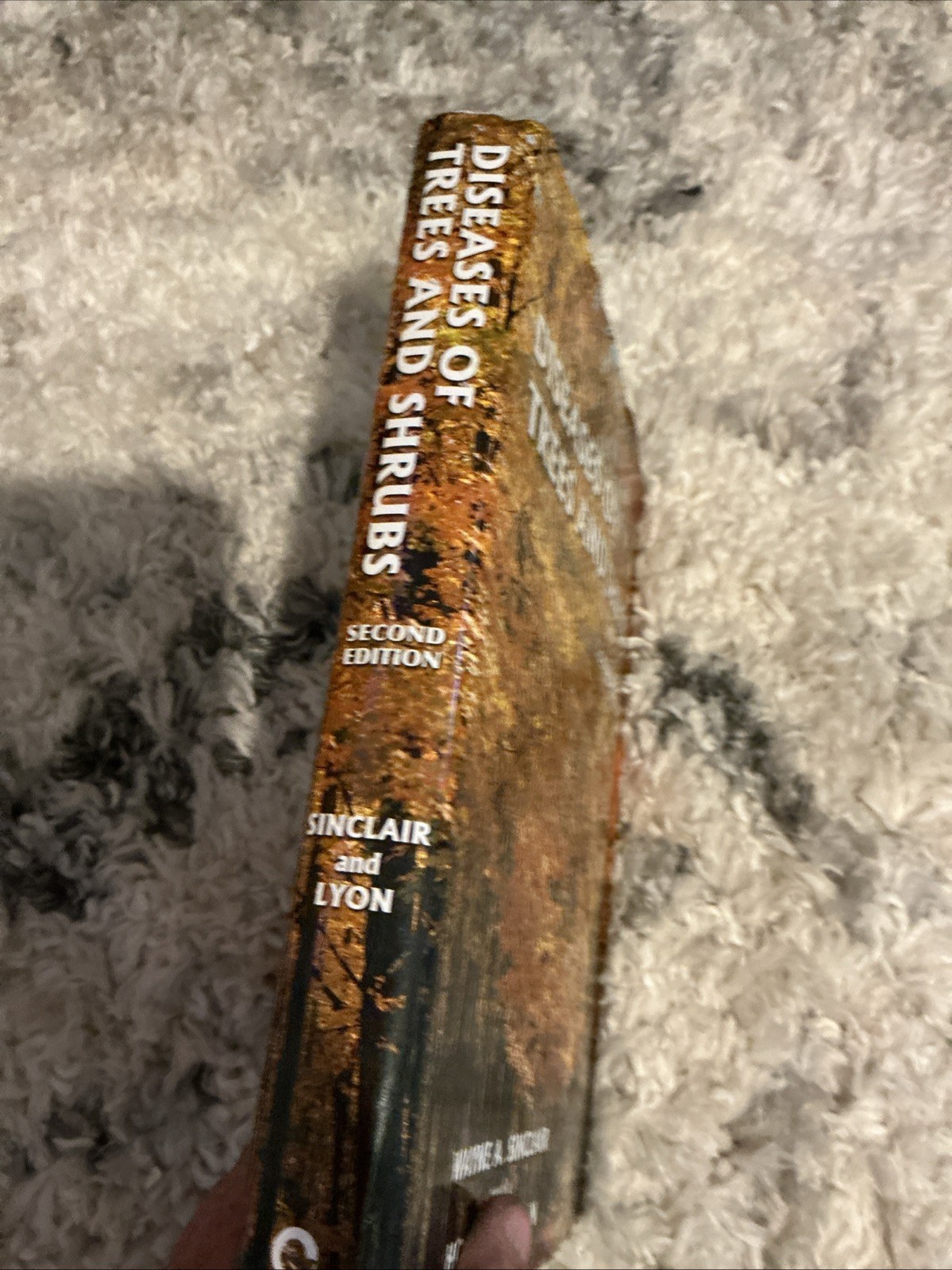Diseases of Trees and – Hardcover, by Wayne Sinclair; Howard – Very Good b
