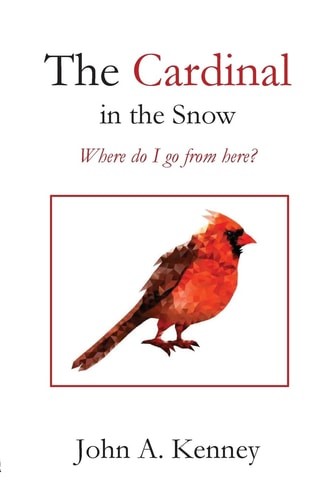 The Cardinal in the Snow, Kenney, John a, Excellent Book