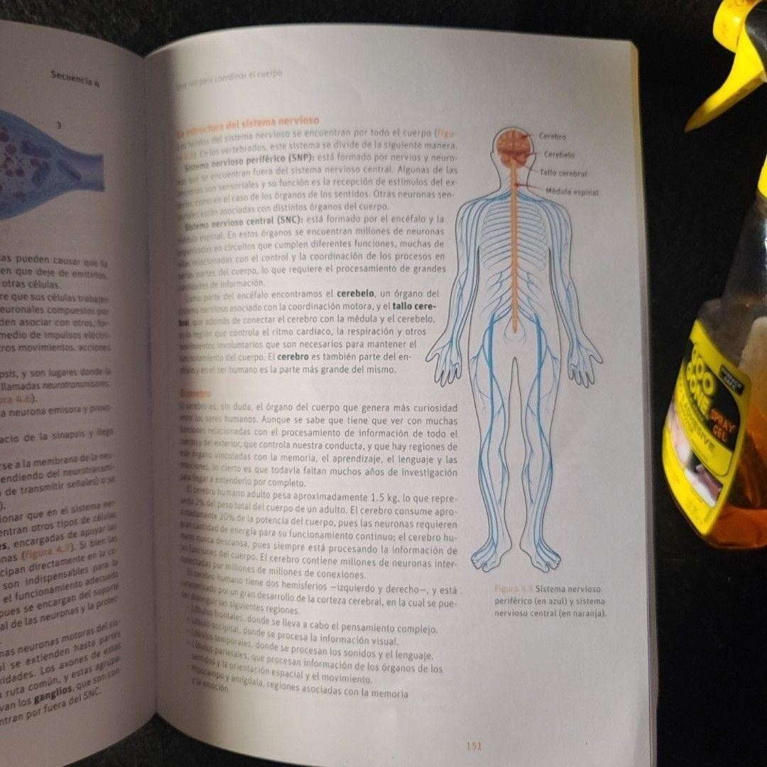 Zayil Salazar Campos Biología Savia SM 2018 Paperback Spanish Activity Book