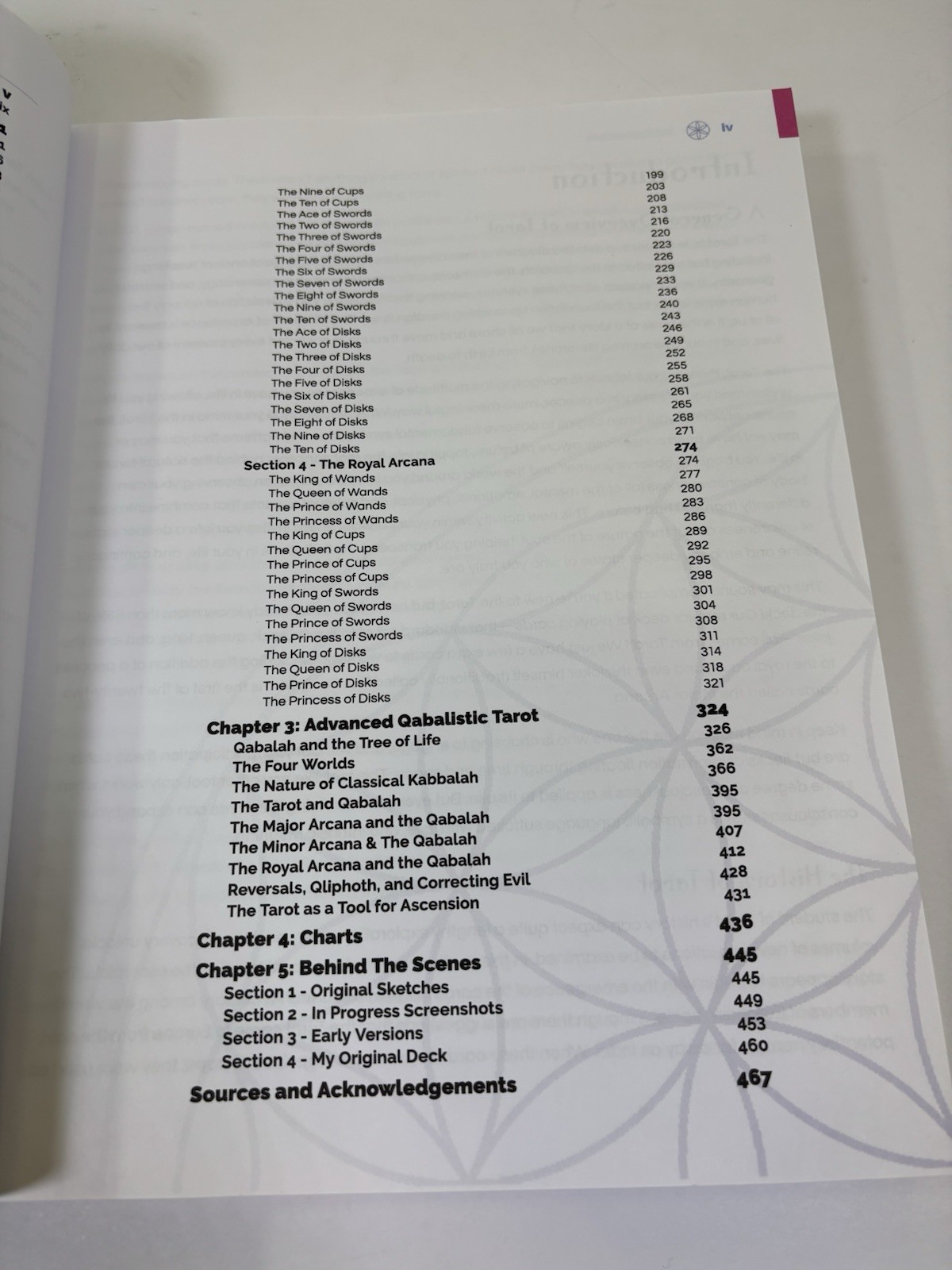 The Book of Patch the Ultimate Guide to Patch Tarot/Softc./2018/by Jordan River