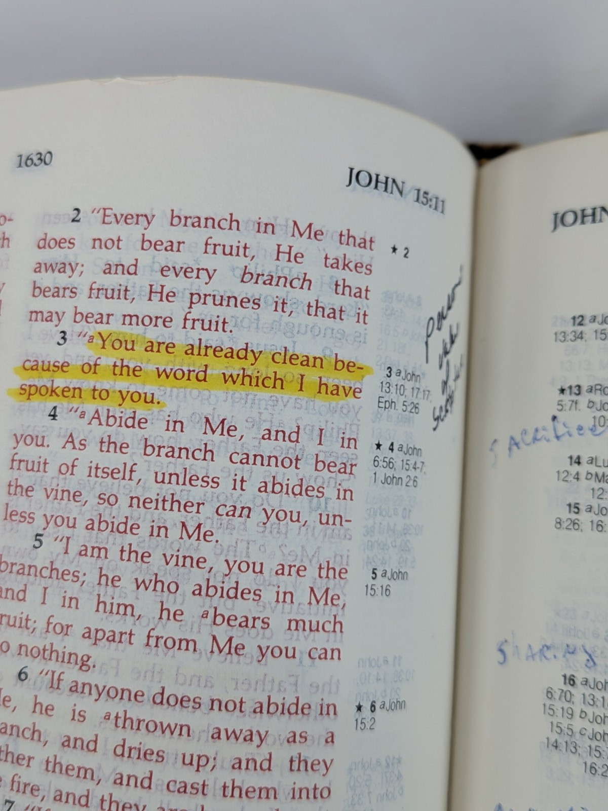 BISON GRAIN!✝️Vntg Ryrie Study Bible NASB 1978 Red Letter Moody Press Tab Index