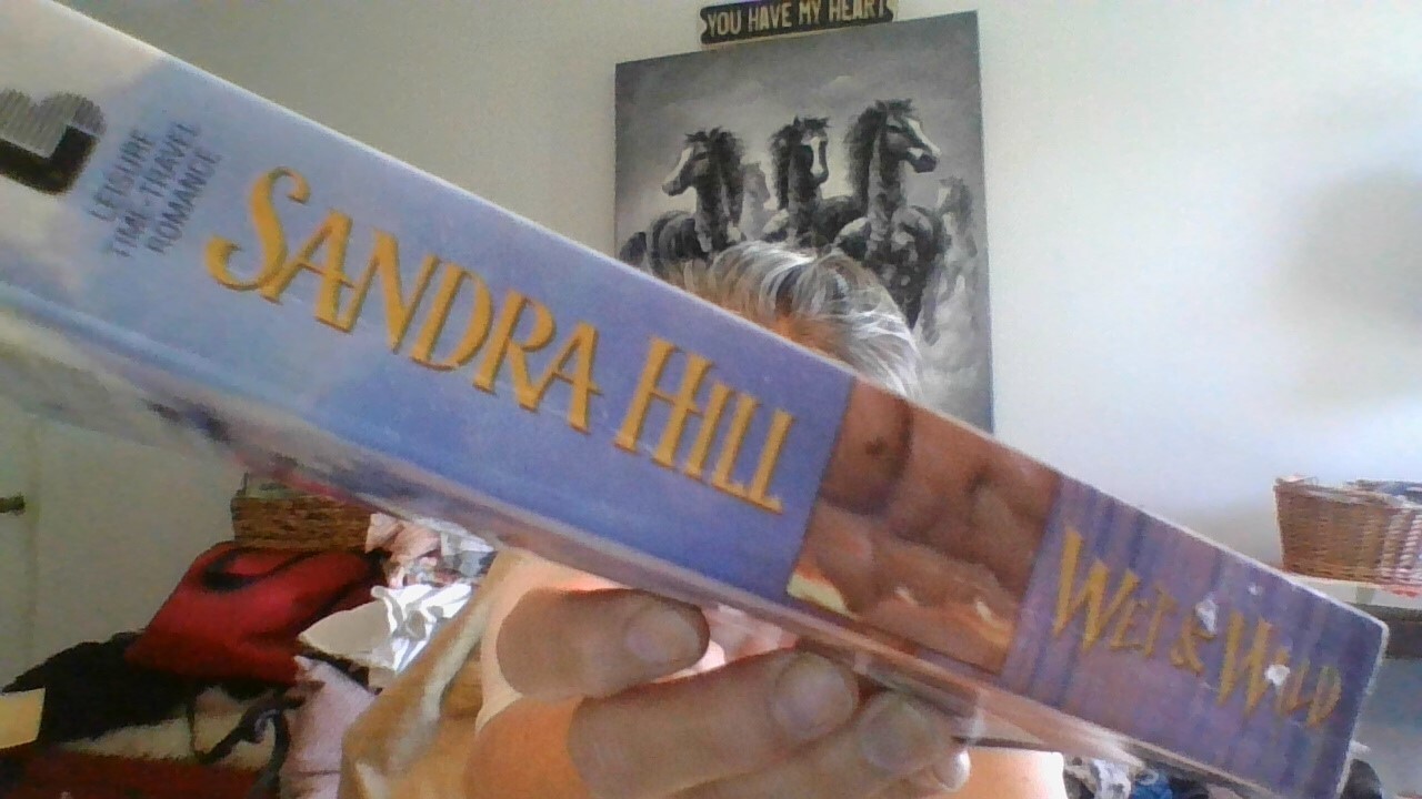 Wet & Wild Paperback Novel by Sandra Hill 374 pages Viking/Navy Seal
