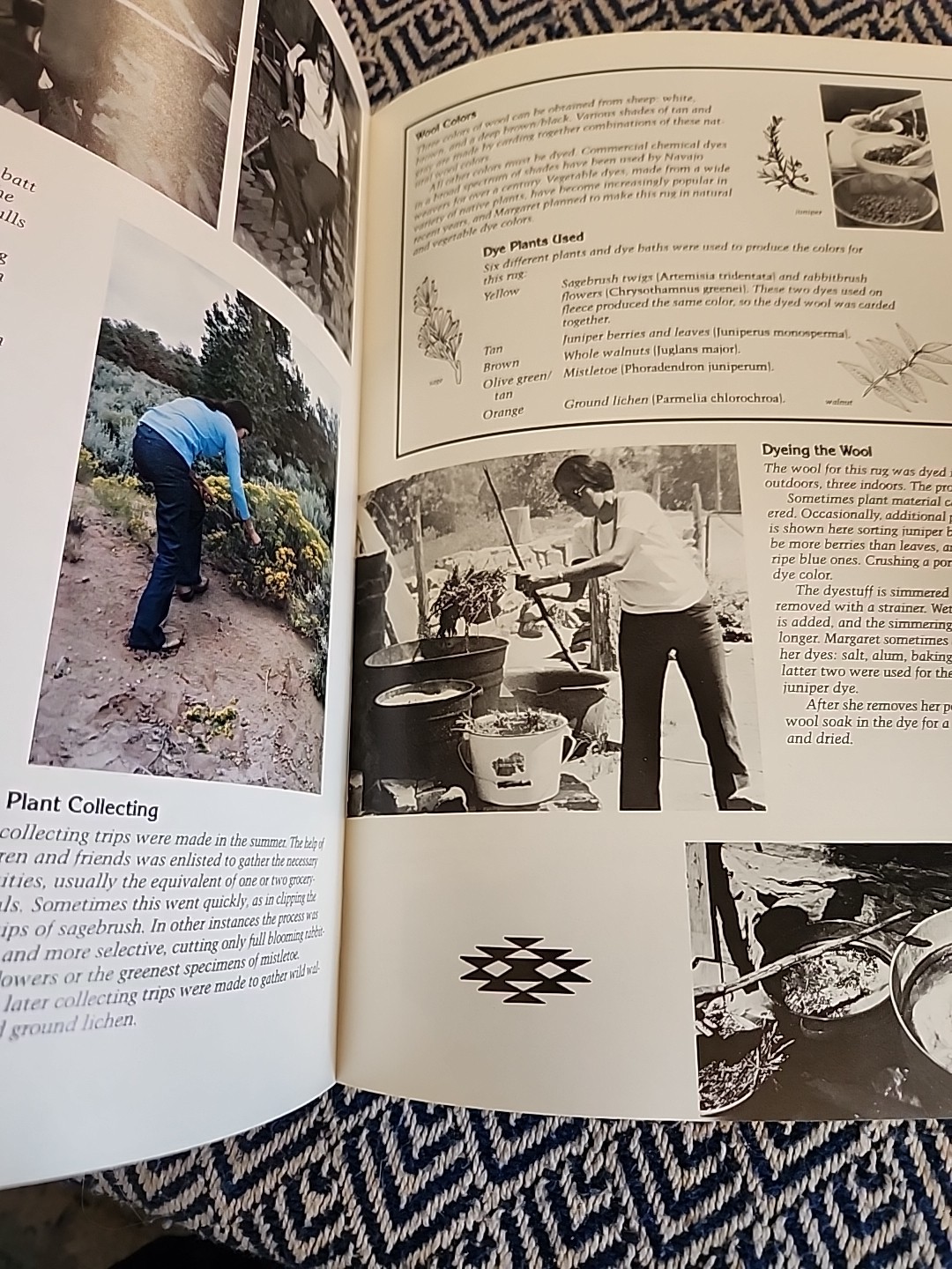 Tension and Harmony: The Navajo Rug Plateau Magazine Vol 52 No 4 Native Weaving