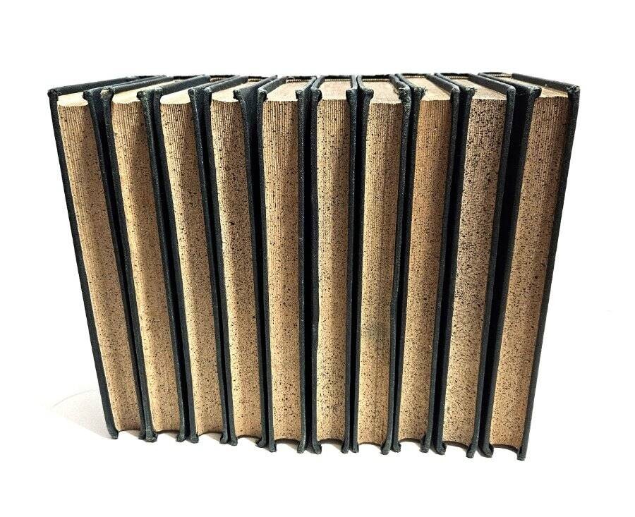 10 Works of Charles Dickens Peter Fenelon Collier Early 1900’s David Copperfield
