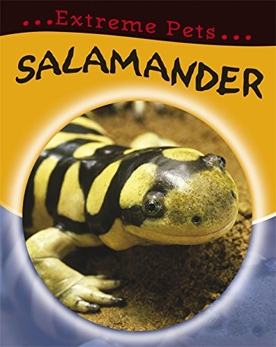 Salamander By Clare Hibbert