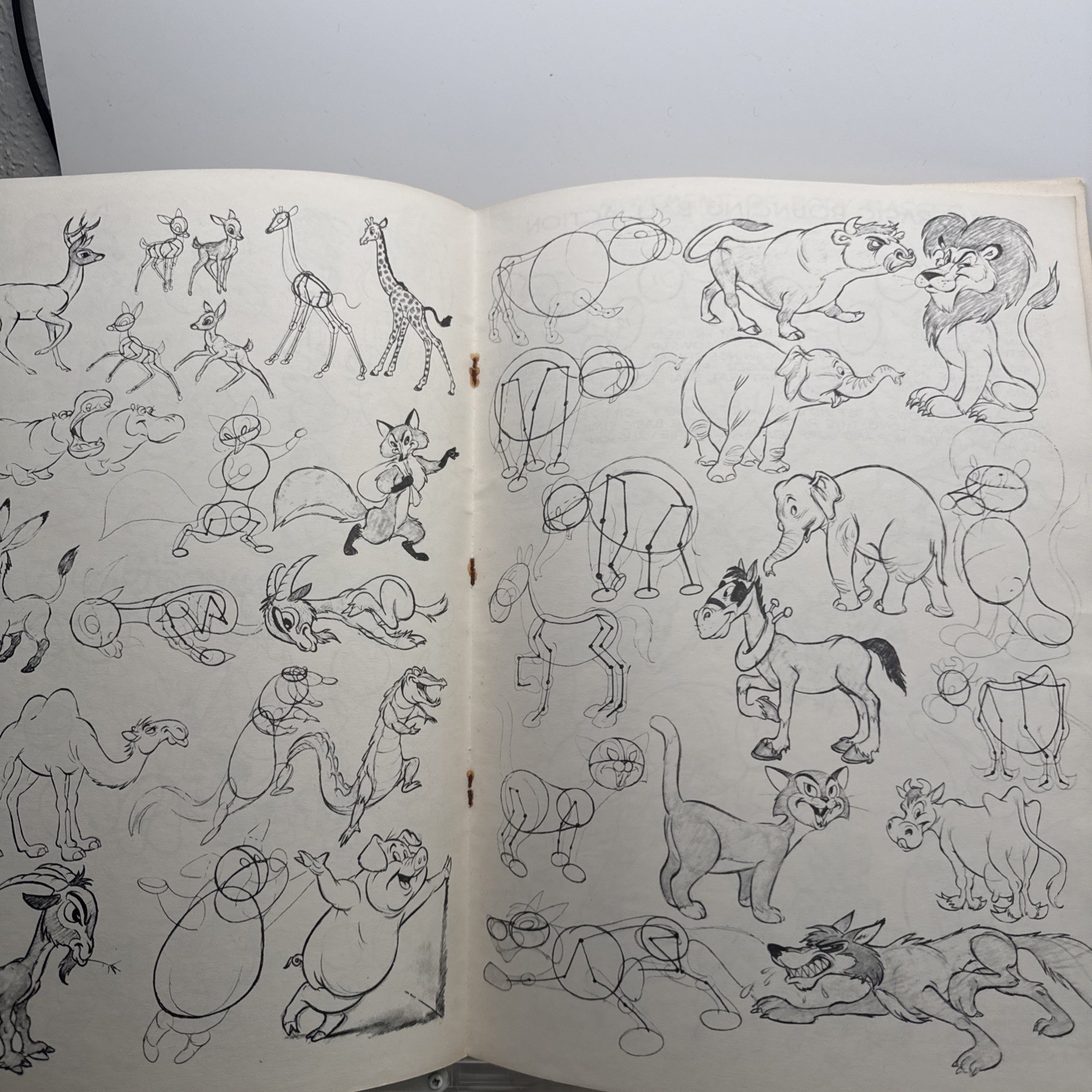 ANIMATION by Preston Blair Art Instruction Book in Walter Foster Series 1950’s