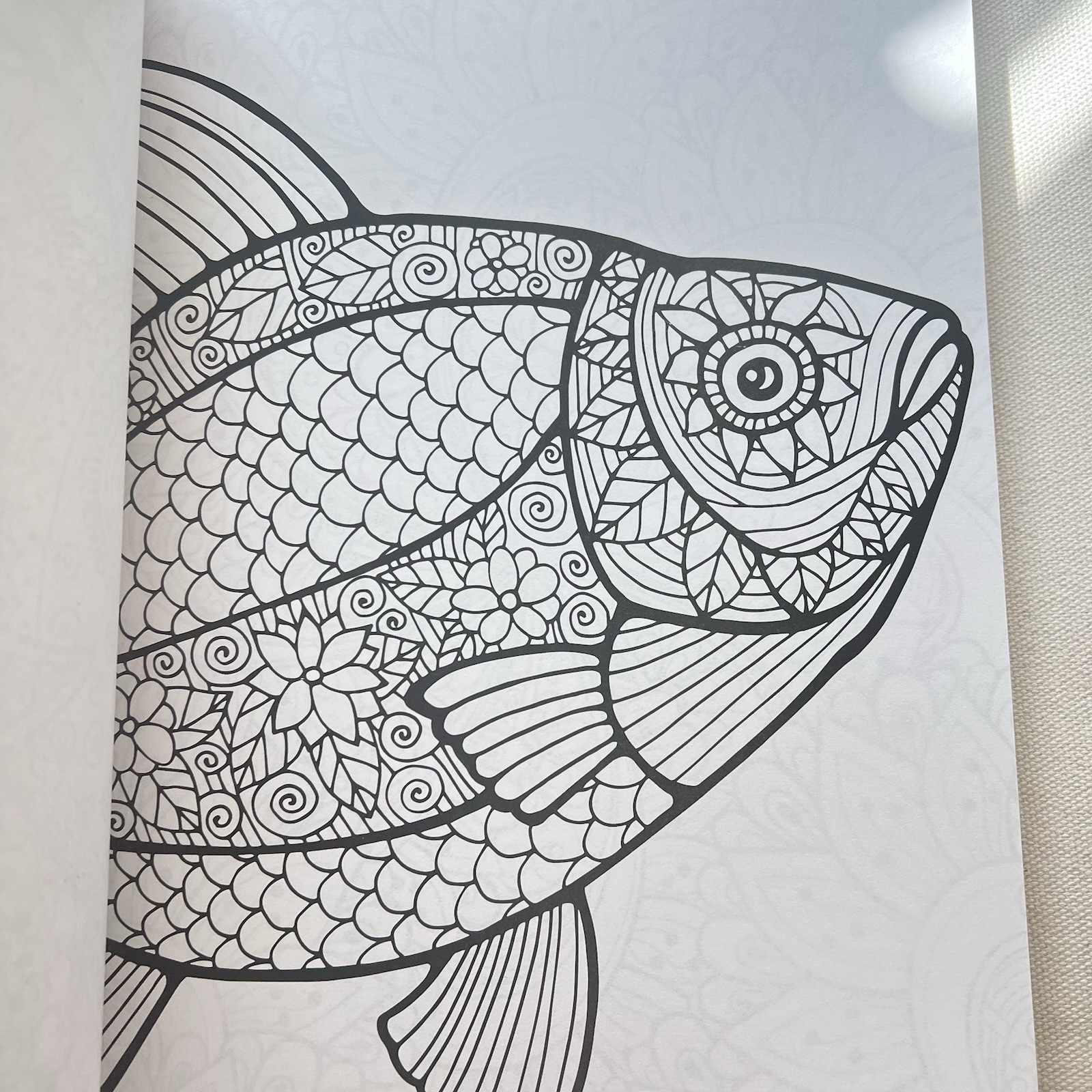 Color Your World:  Relaxing Adult Coloring Book W/ Easy Tear-Out Pages NEW