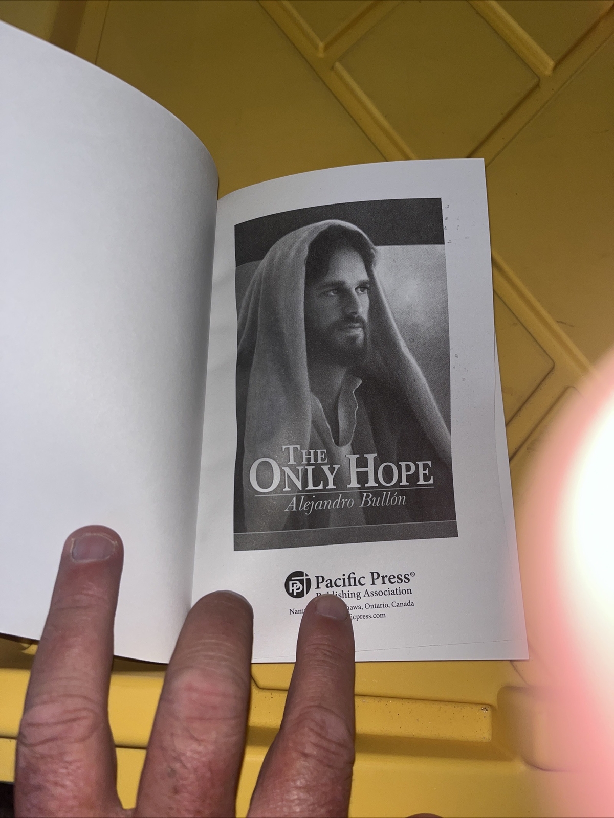 The Only Hope By Alejandro Bullion Book Paperback 2014