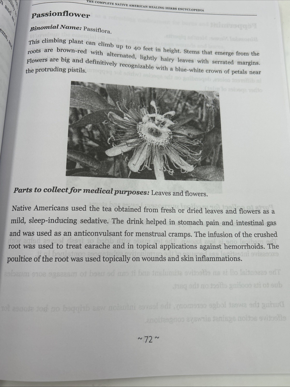 The Complete Native American Healing Herbs Encyclopedia -Hialeah Garcia Navarro