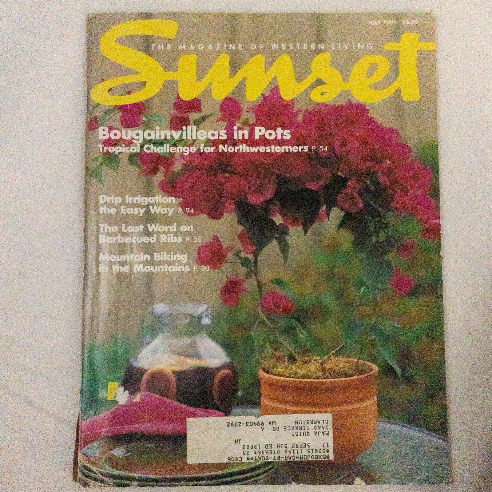 Art & Garden Magazines Lot Sunset Artists of the Northwest Seattle Art Books