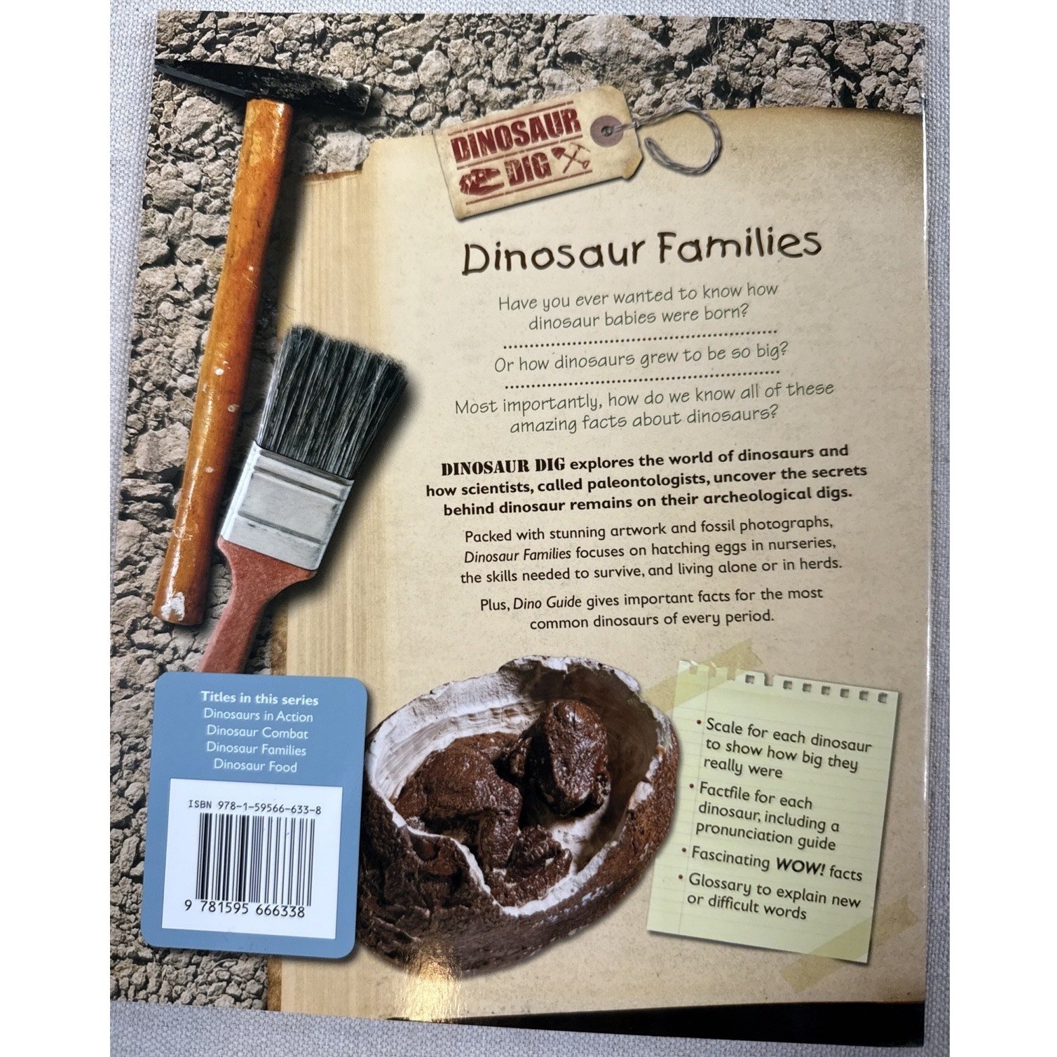 Dinosaur Books Kids Set 4 Rupert Matthews QEB Fossil Science Lot